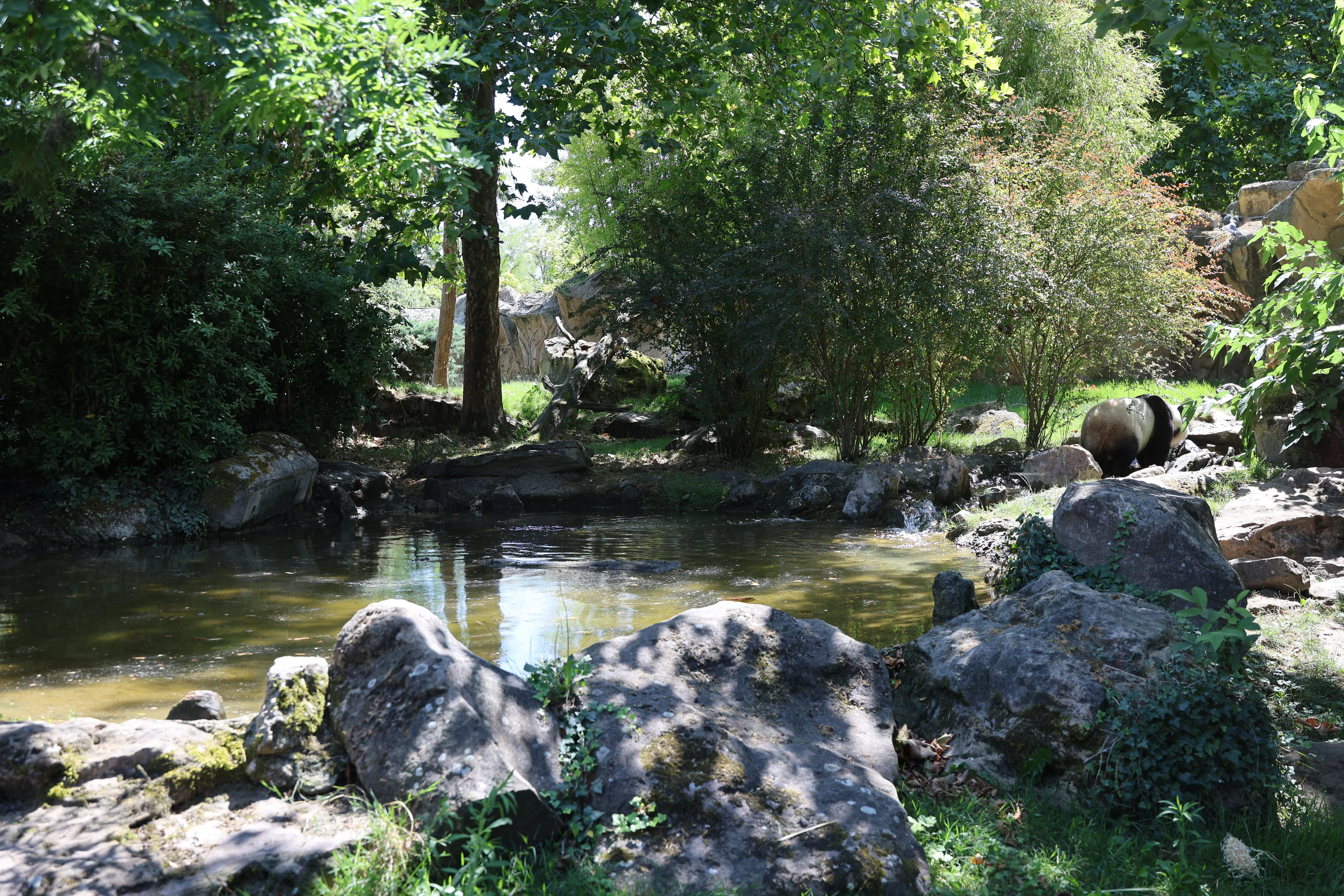 ZooParc de Beauval