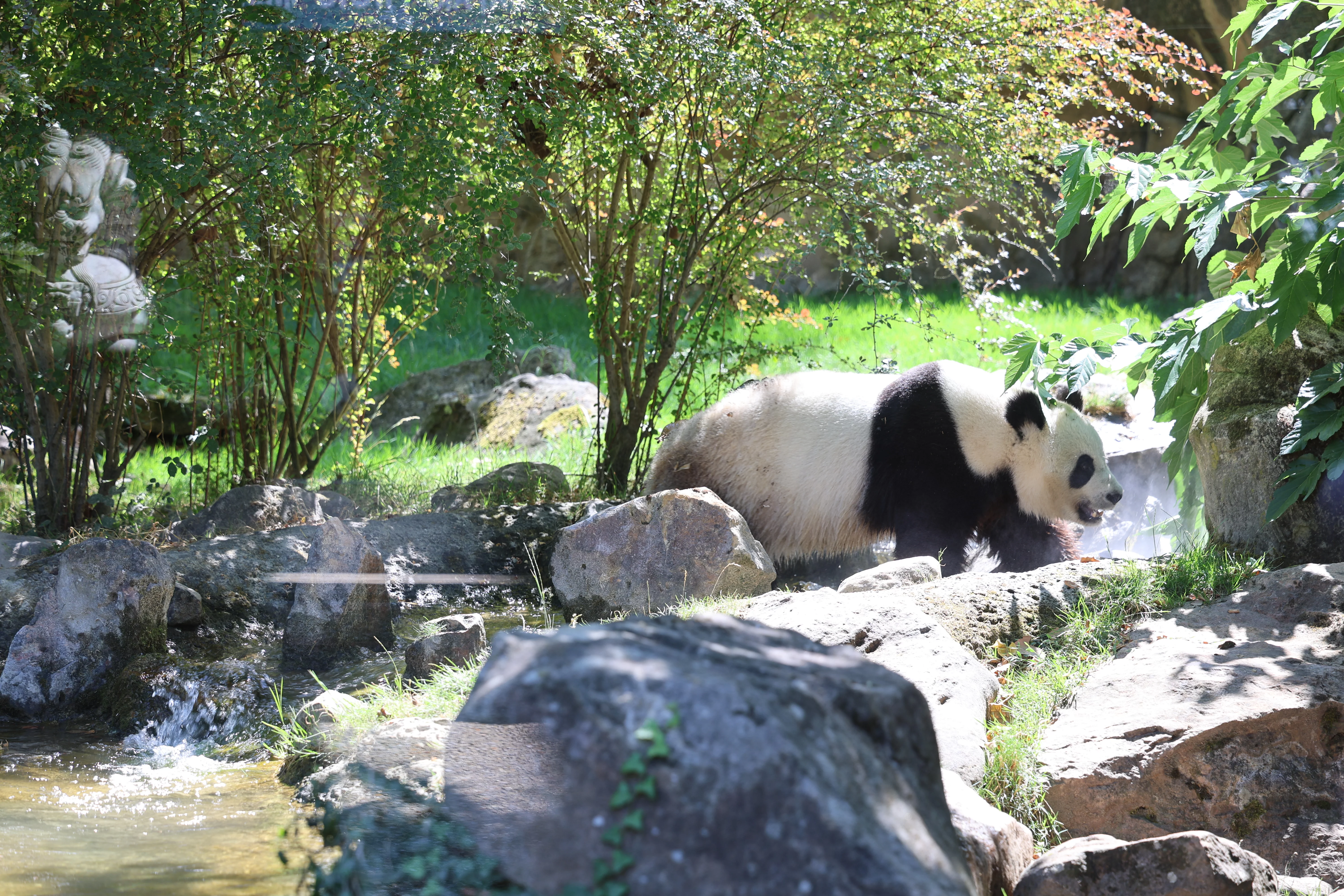 ZooParc de Beauval