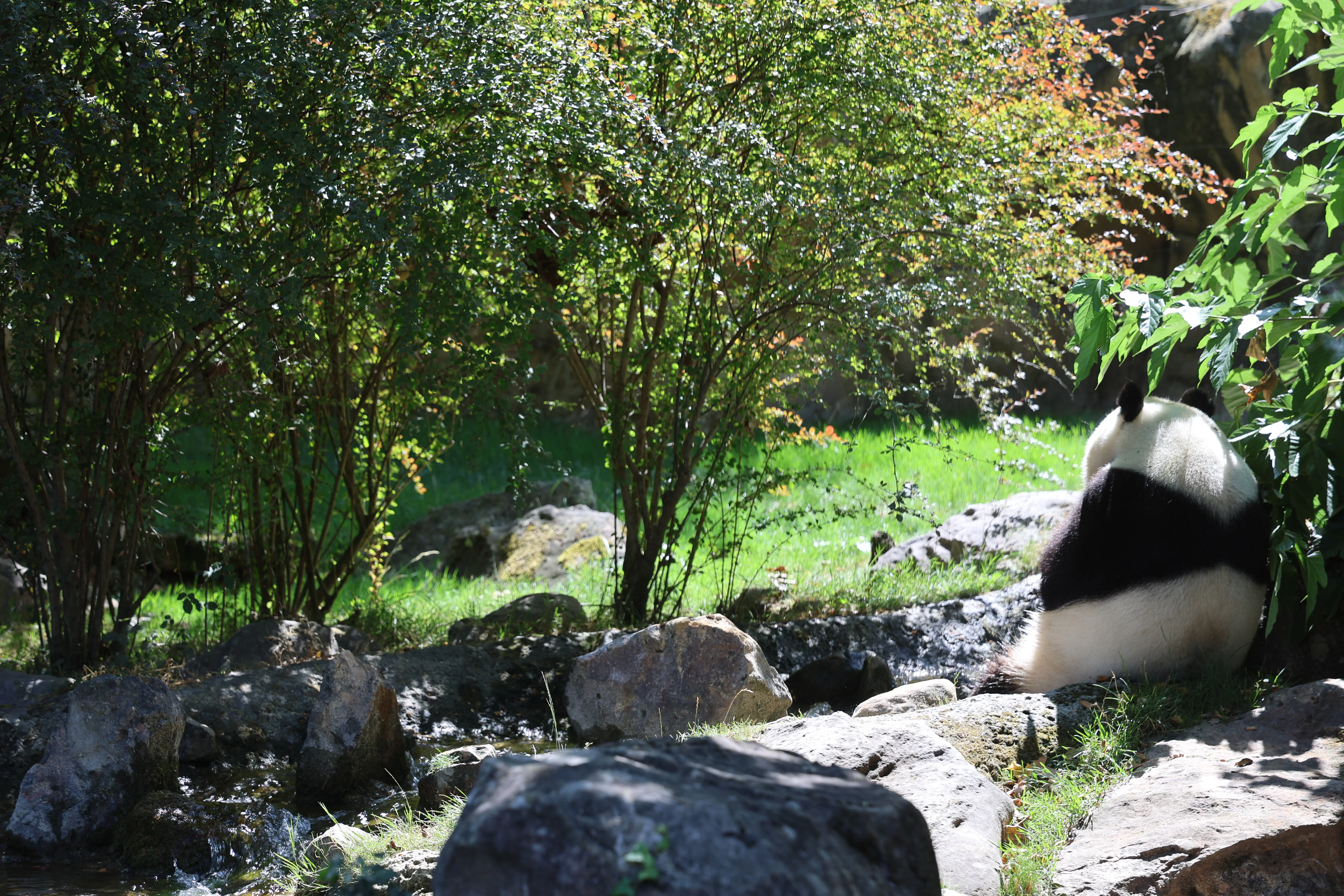 ZooParc de Beauval