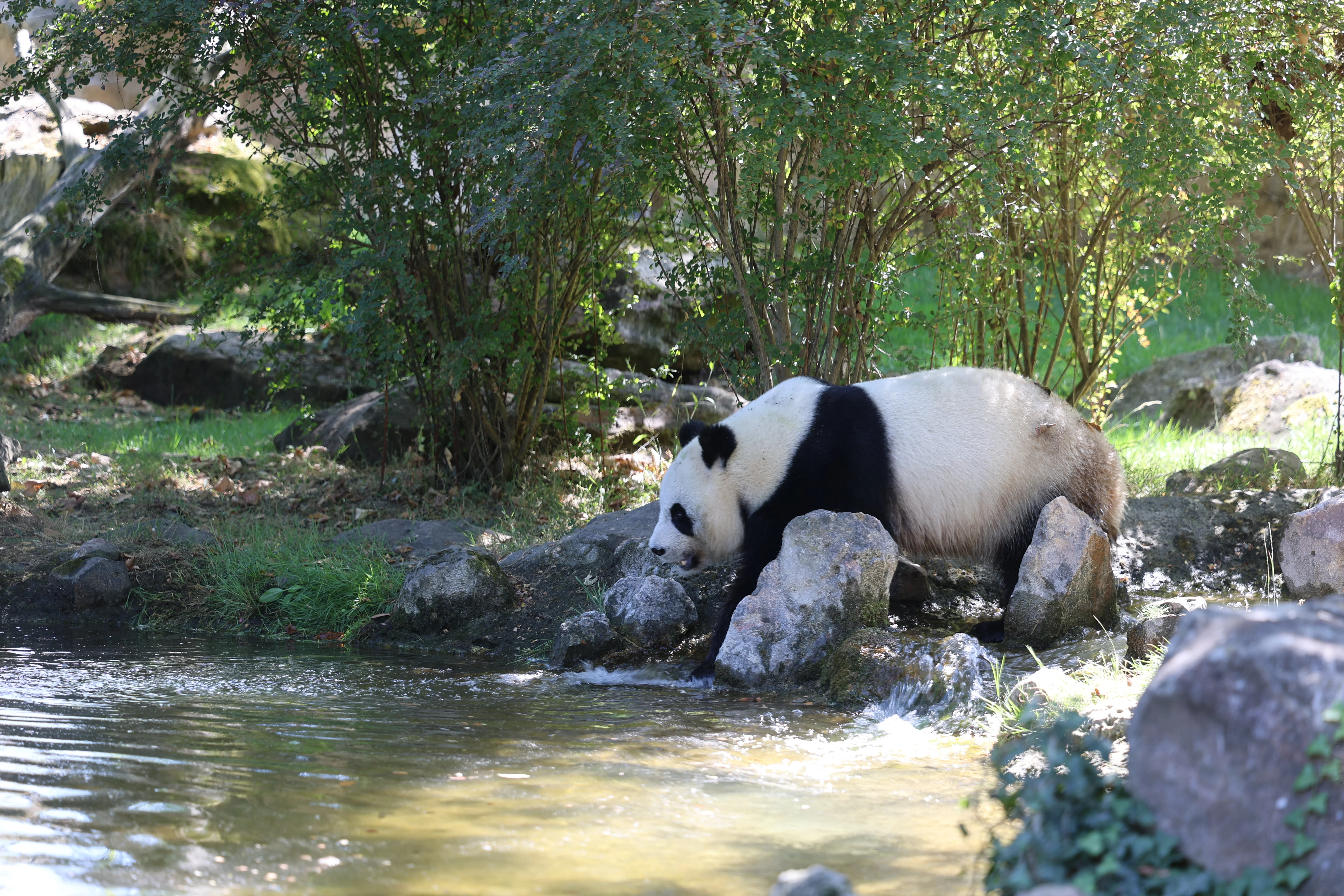 ZooParc de Beauval