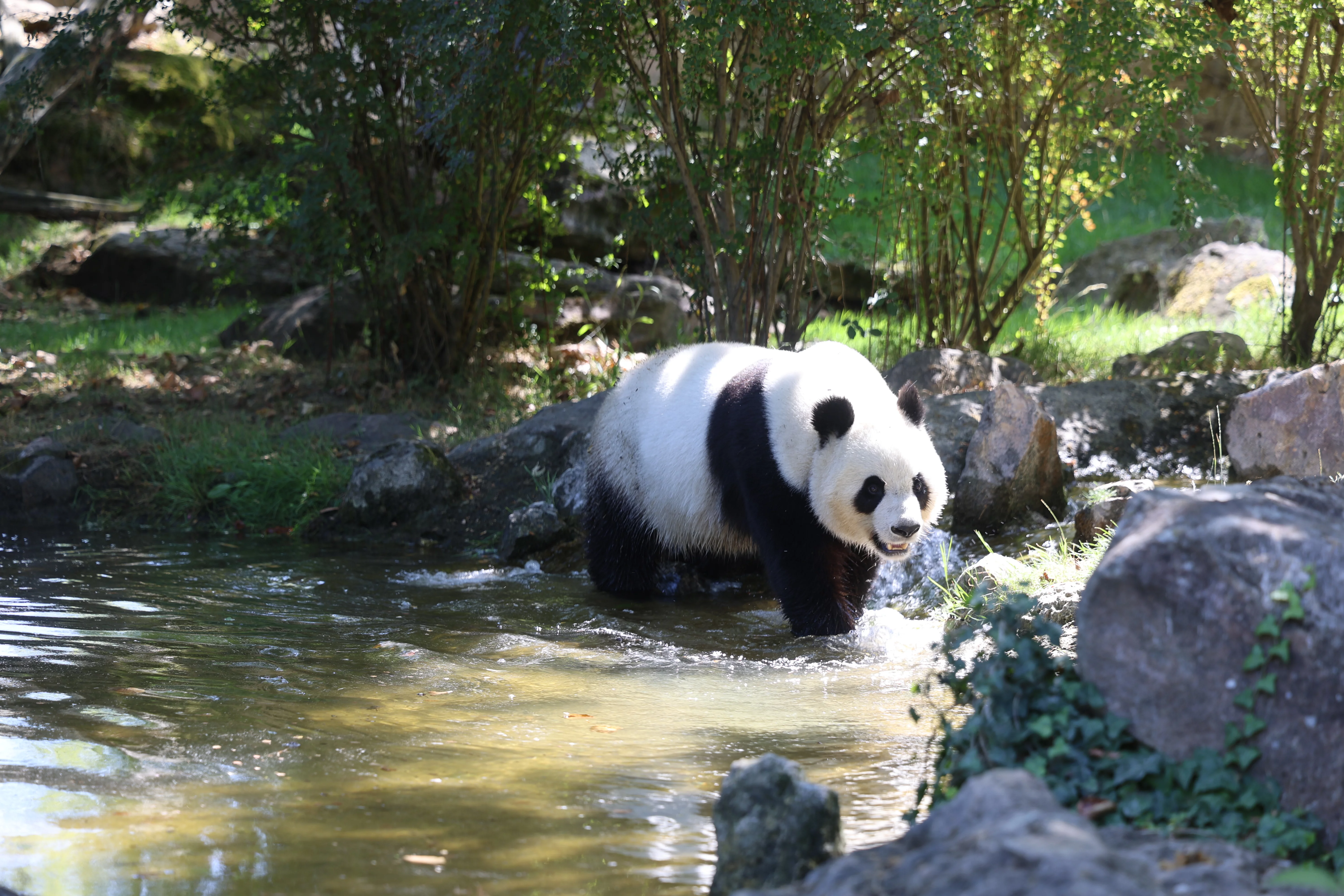 ZooParc de Beauval