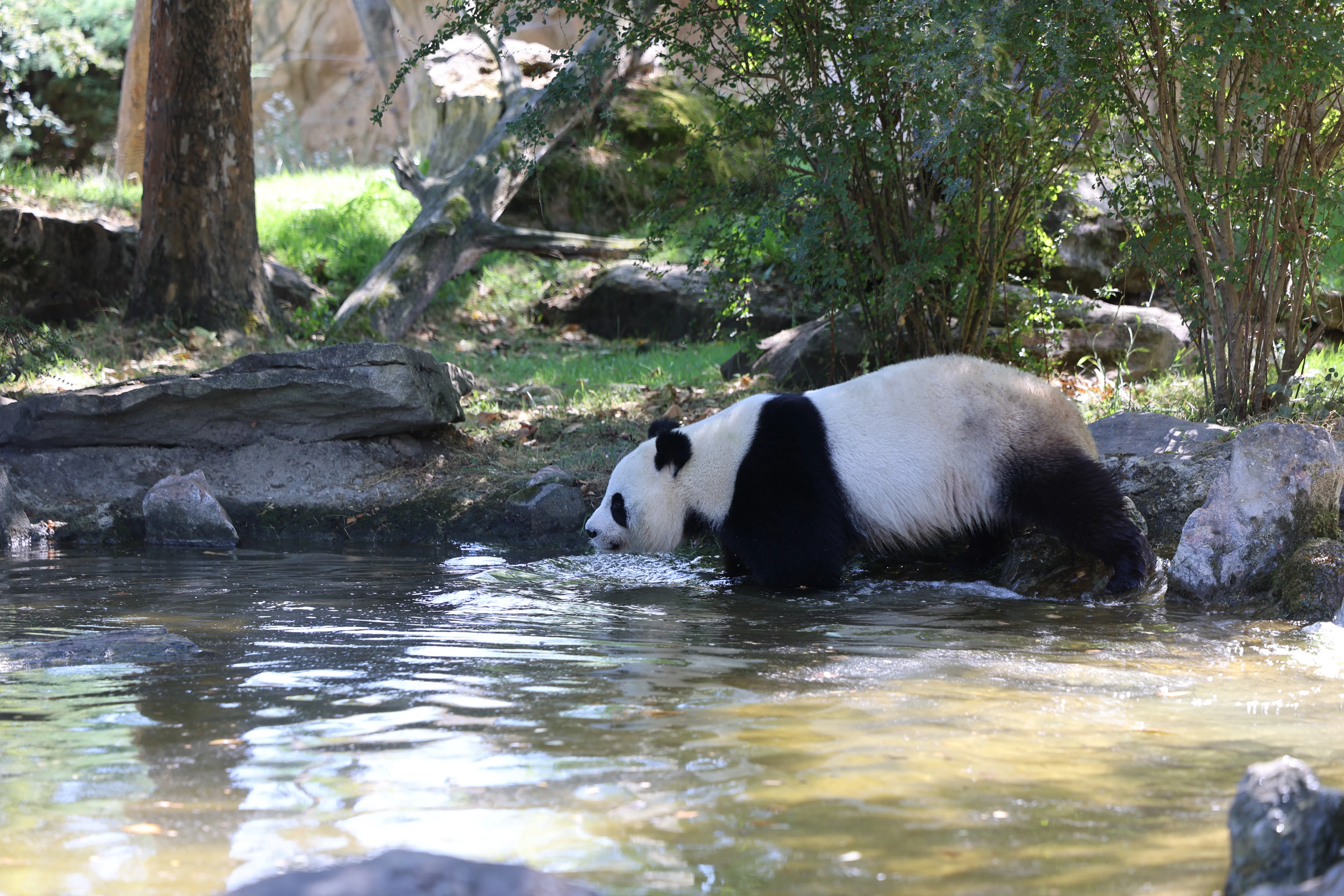 ZooParc de Beauval