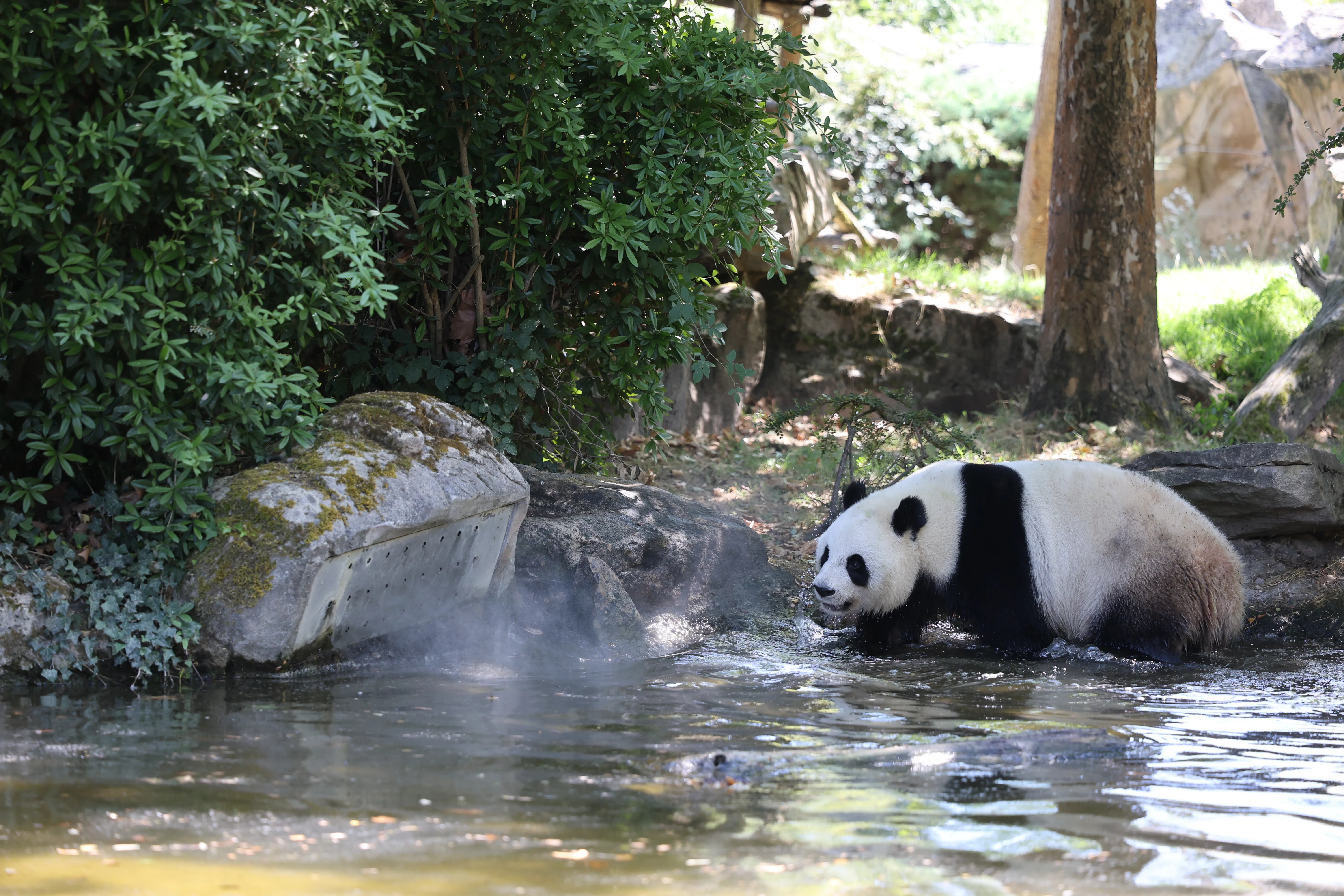 ZooParc de Beauval