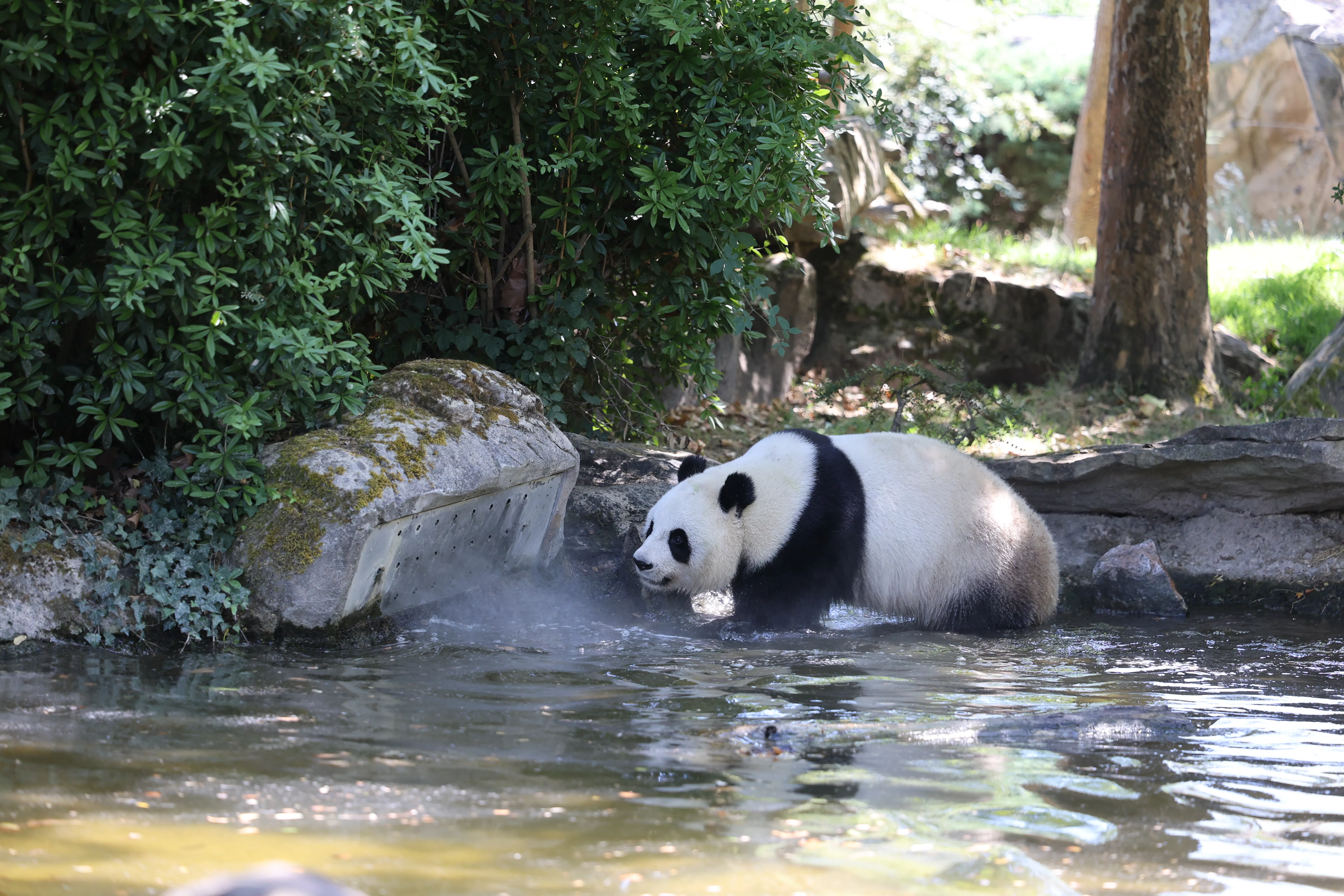 ZooParc de Beauval