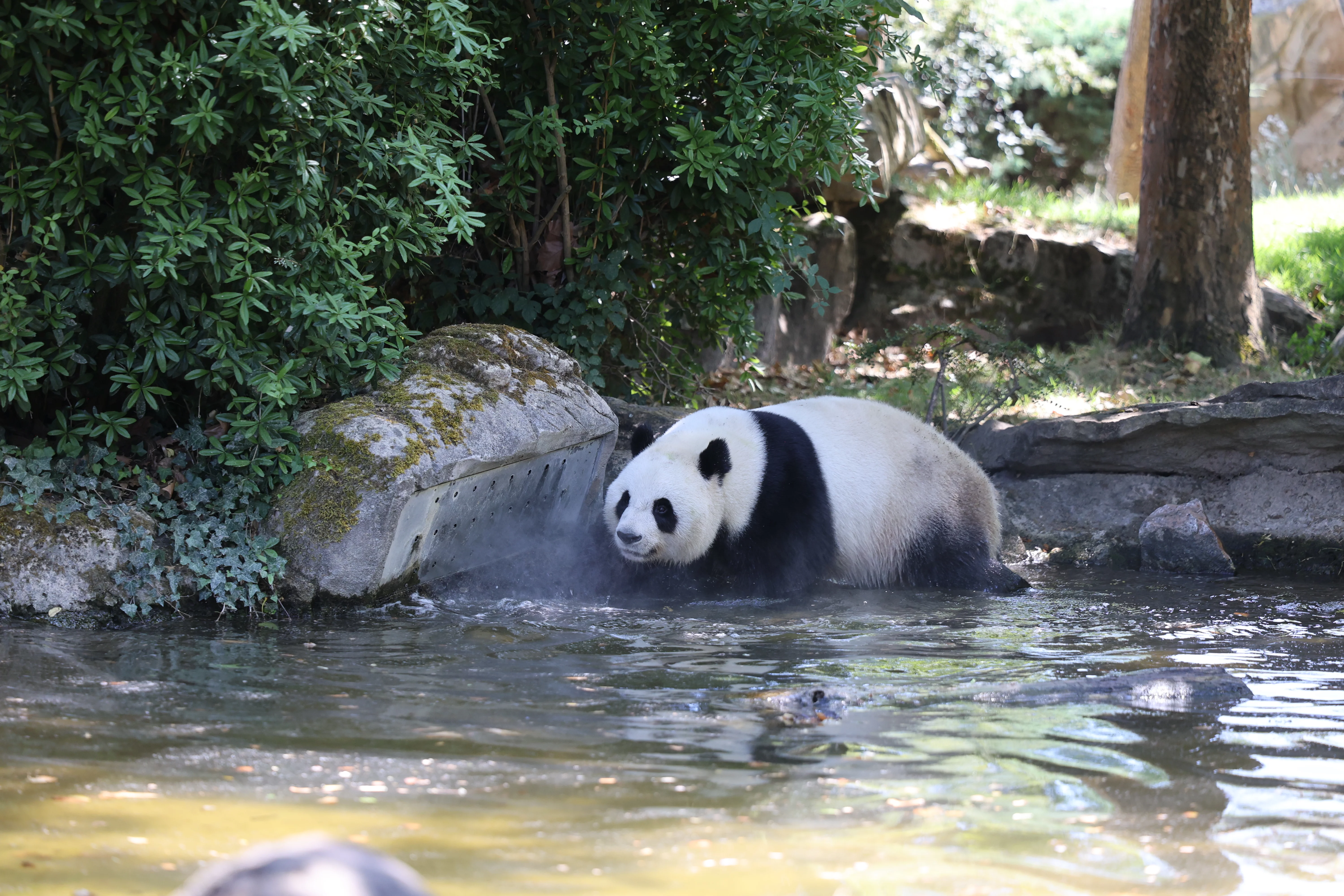 ZooParc de Beauval