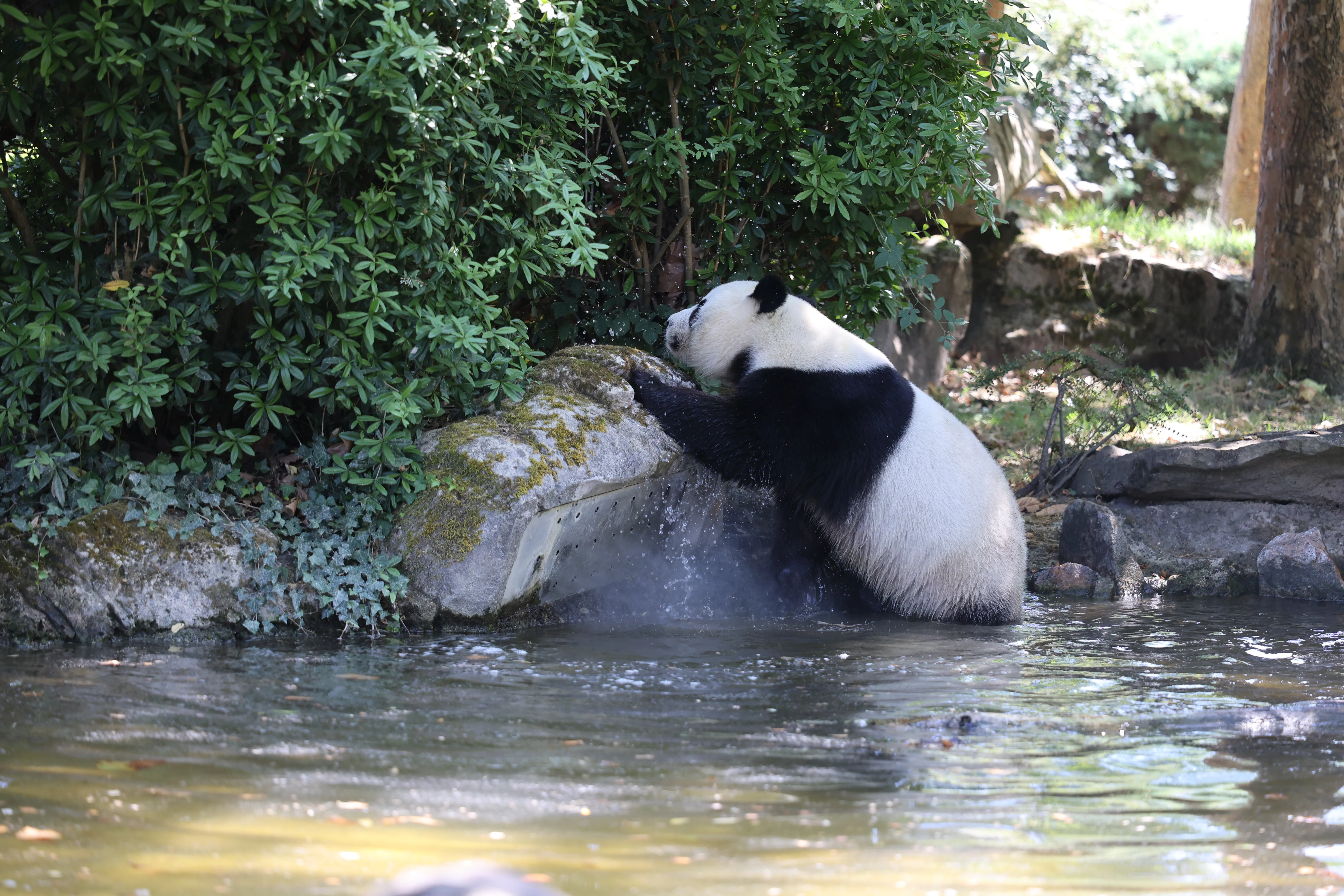 ZooParc de Beauval