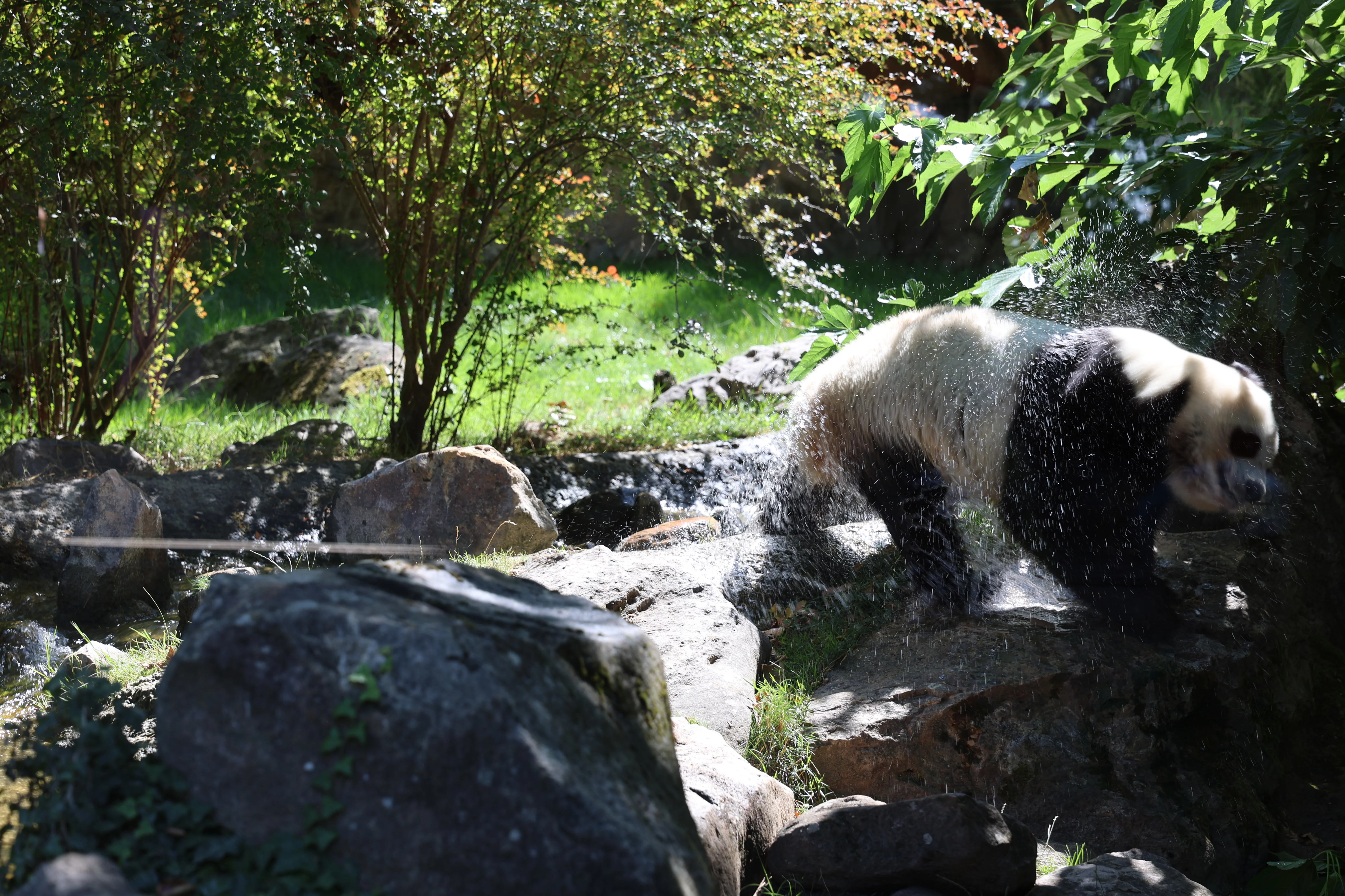 ZooParc de Beauval