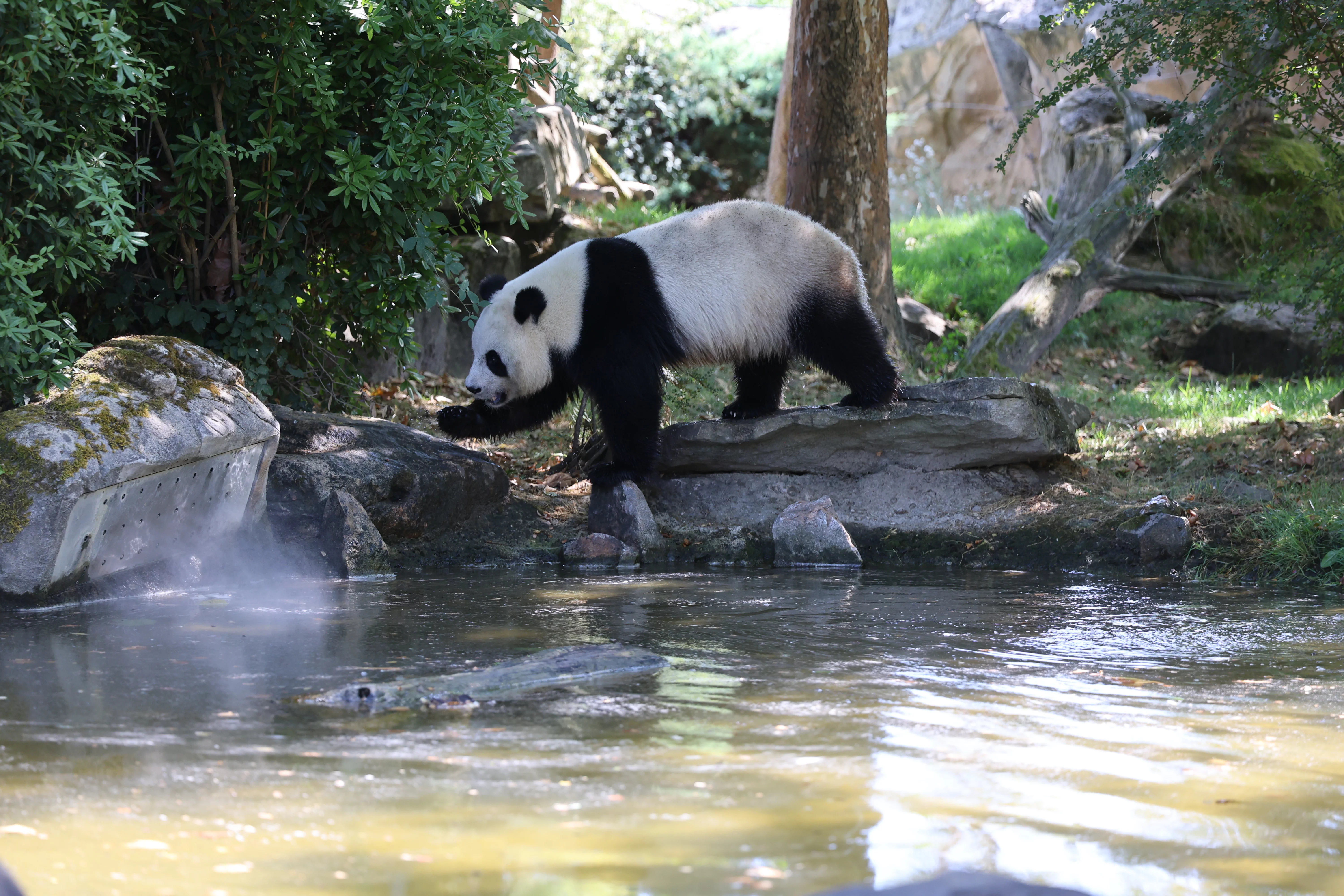 ZooParc de Beauval