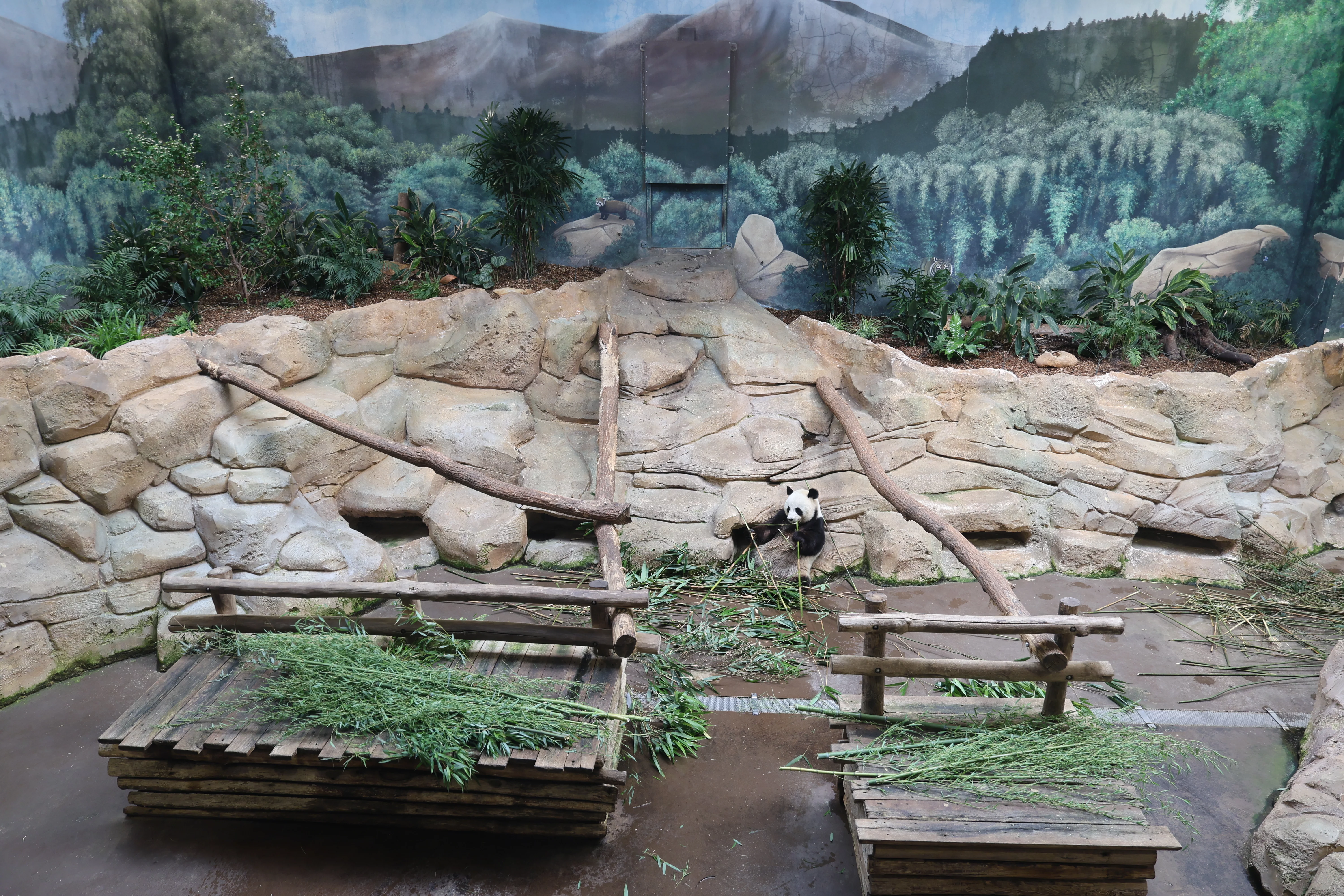 ZooParc de Beauval