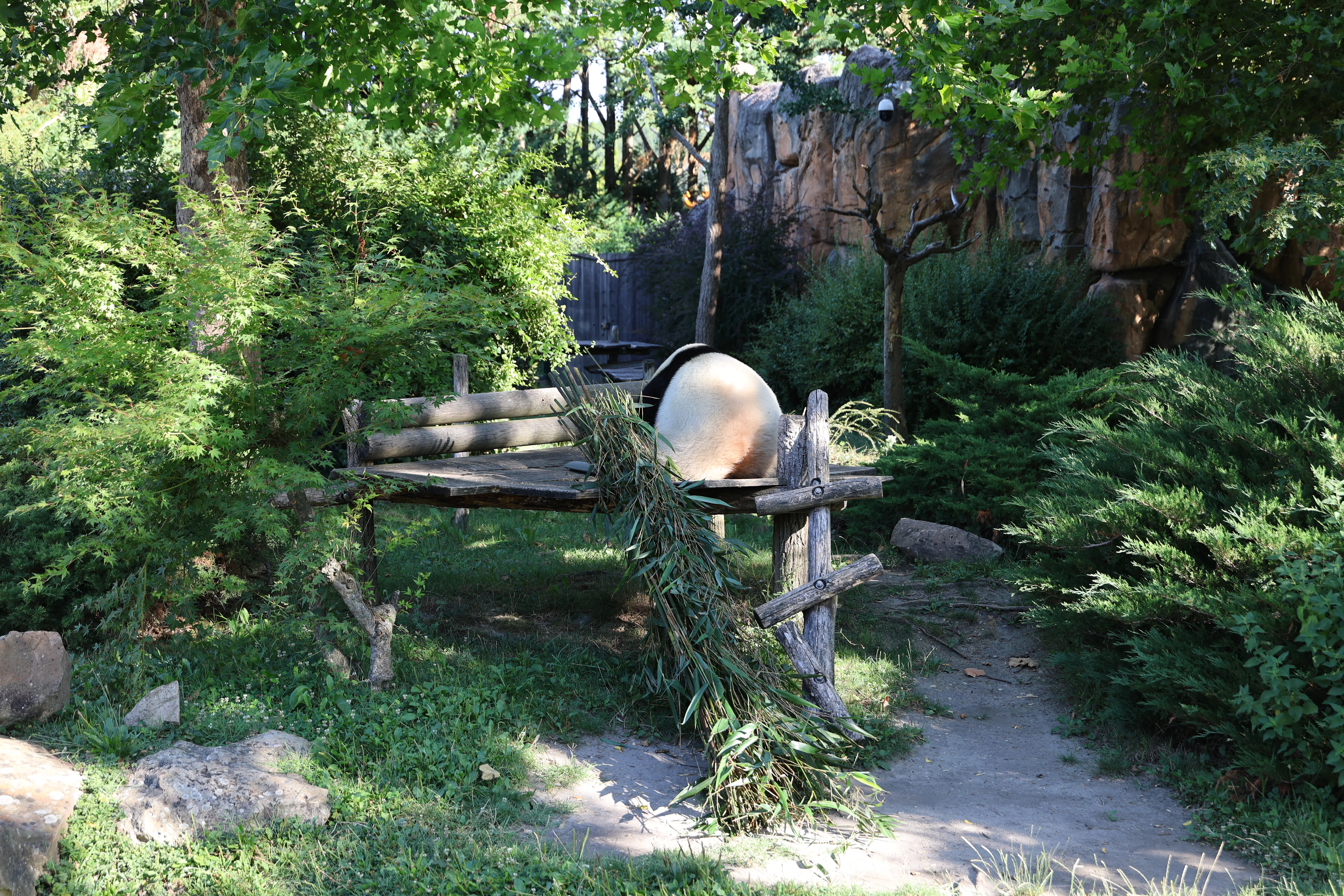 ZooParc de Beauval