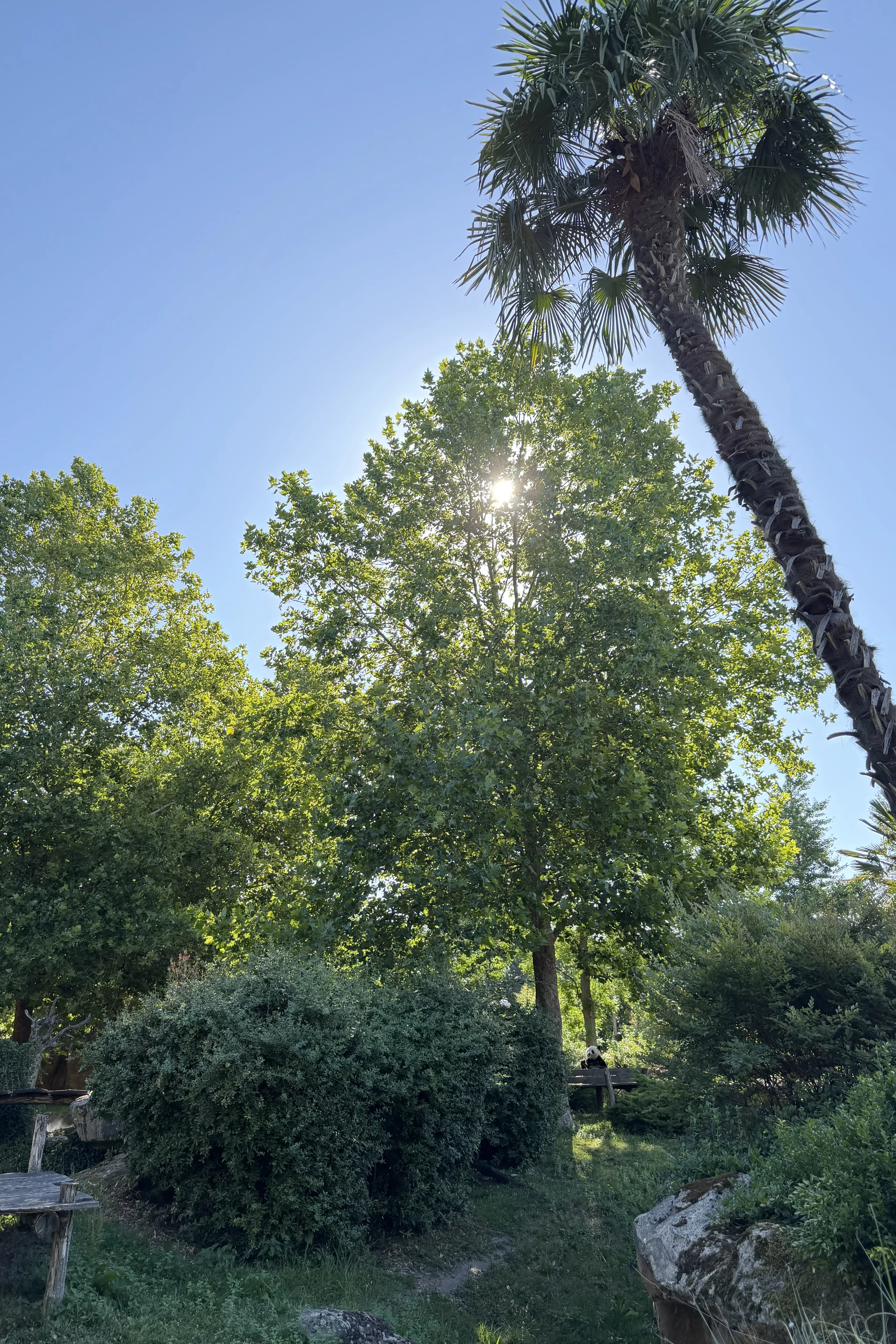 ZooParc de Beauval