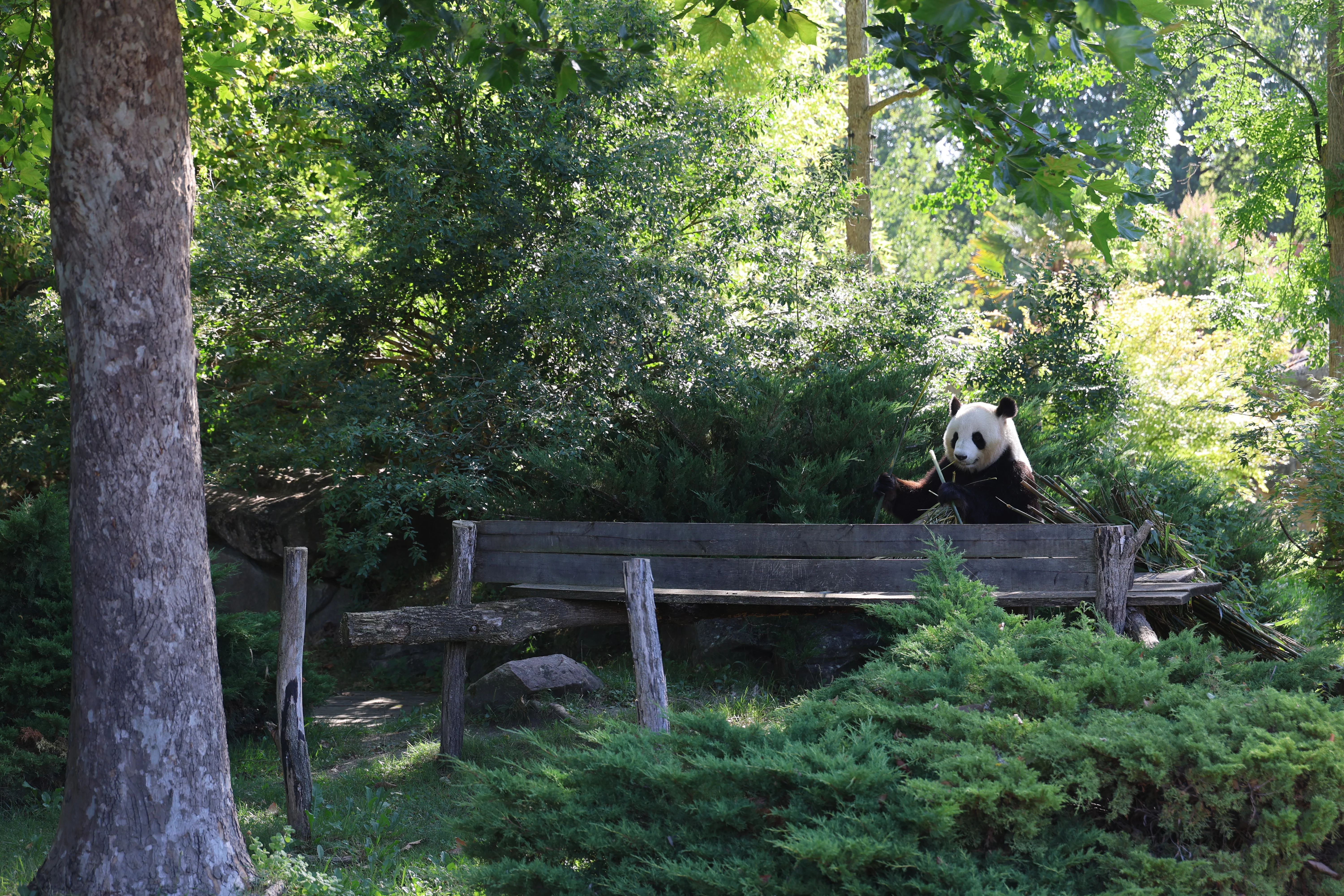 ZooParc de Beauval