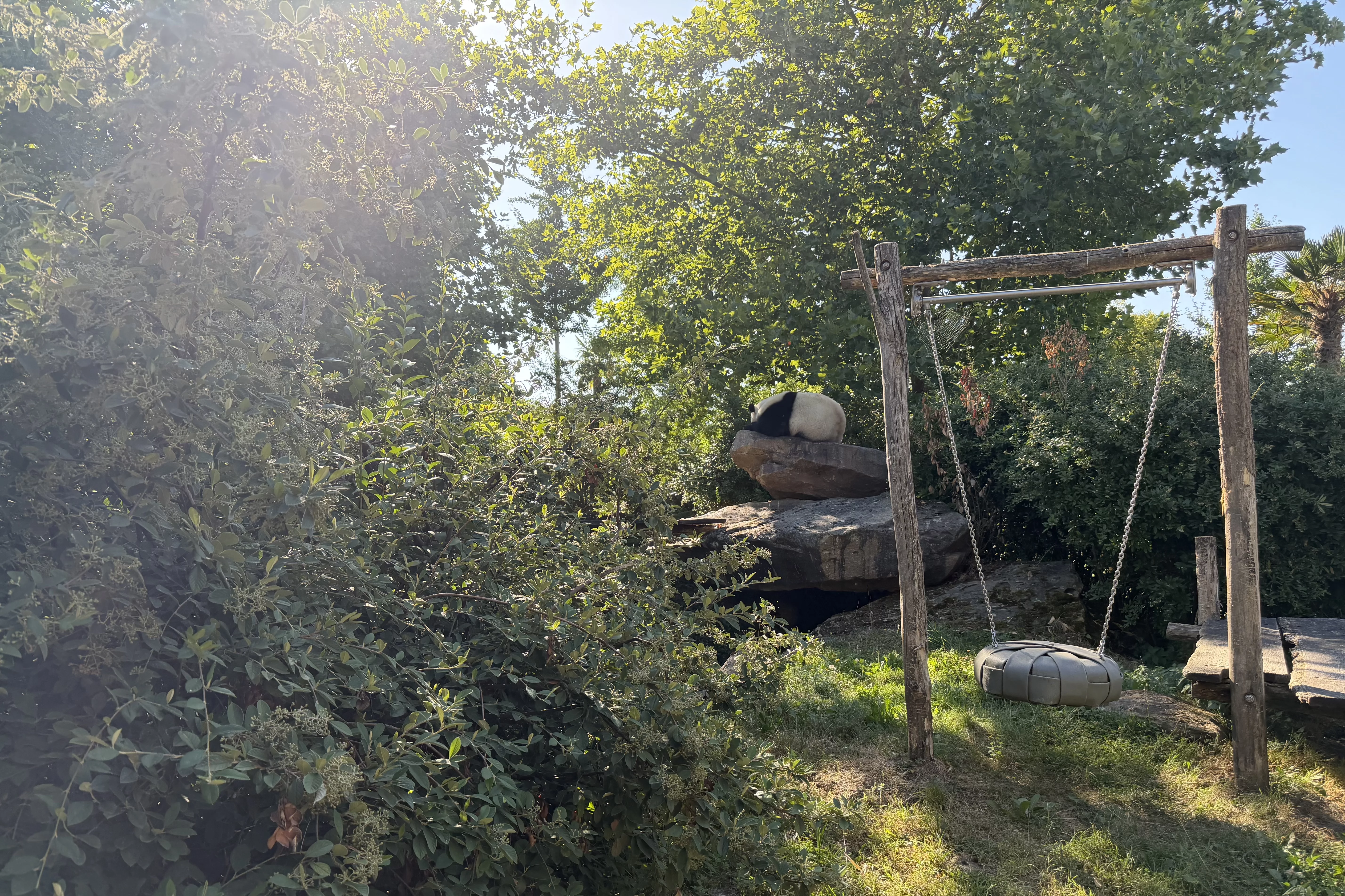 ZooParc de Beauval