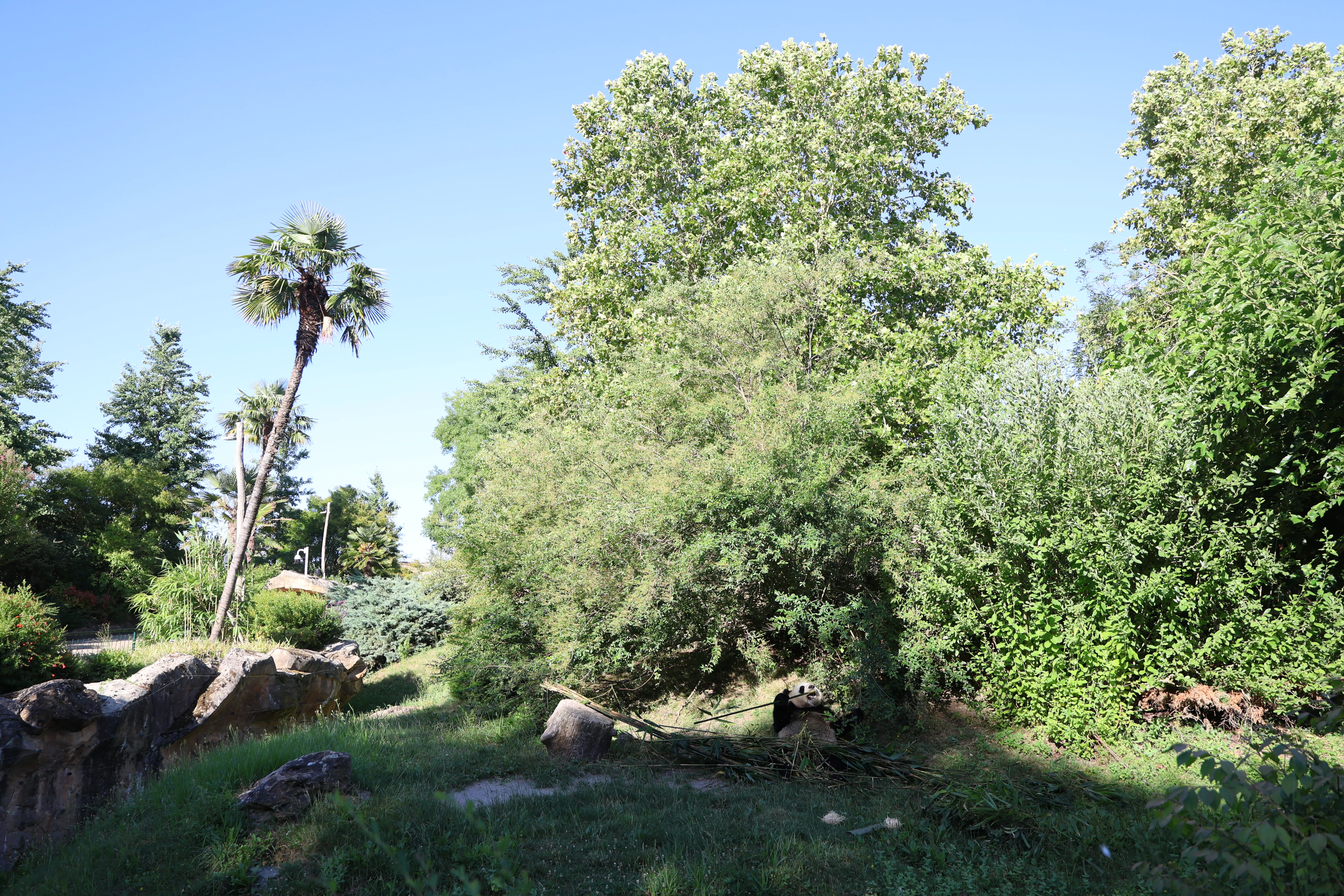 ZooParc de Beauval