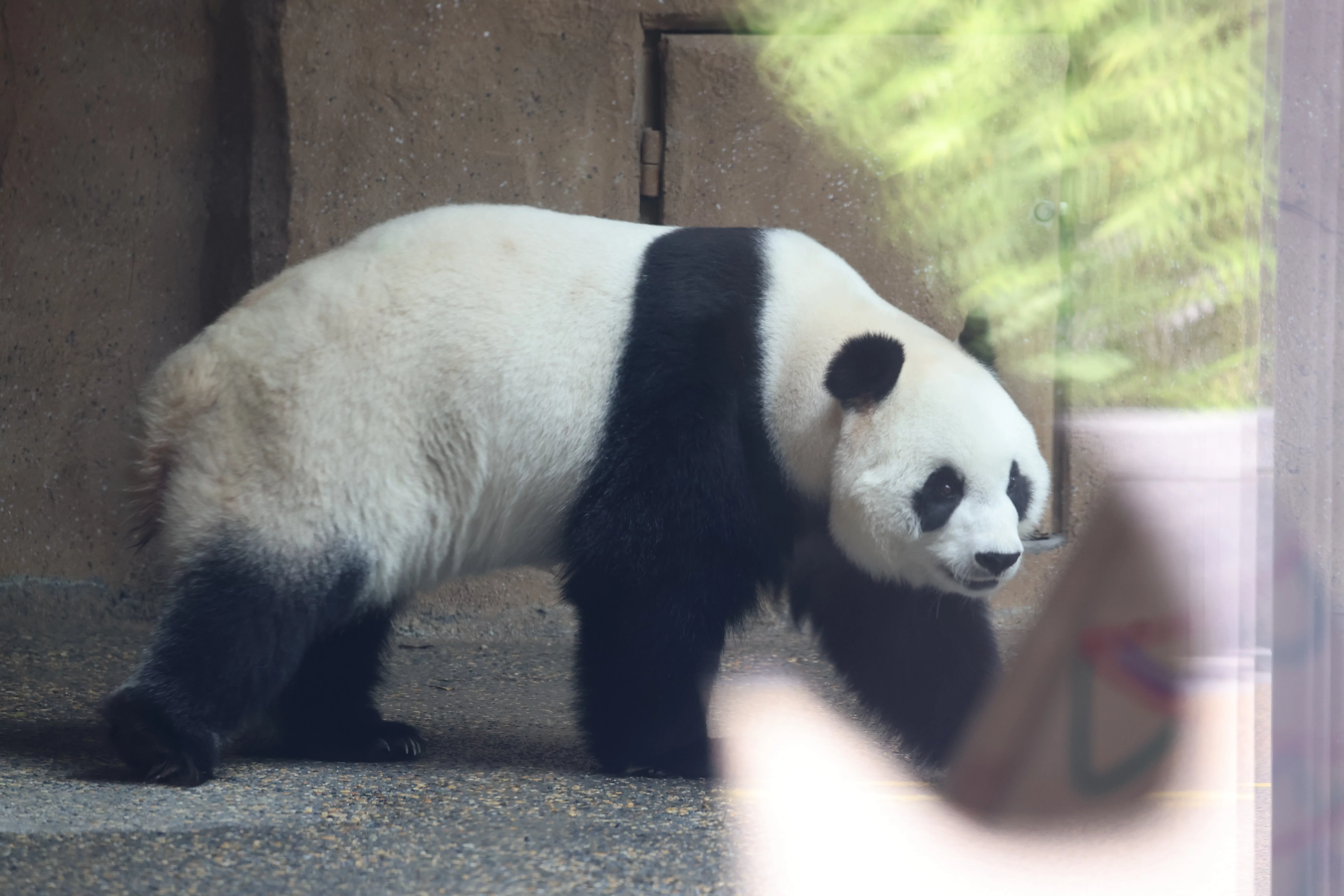 Beijing Zoo
