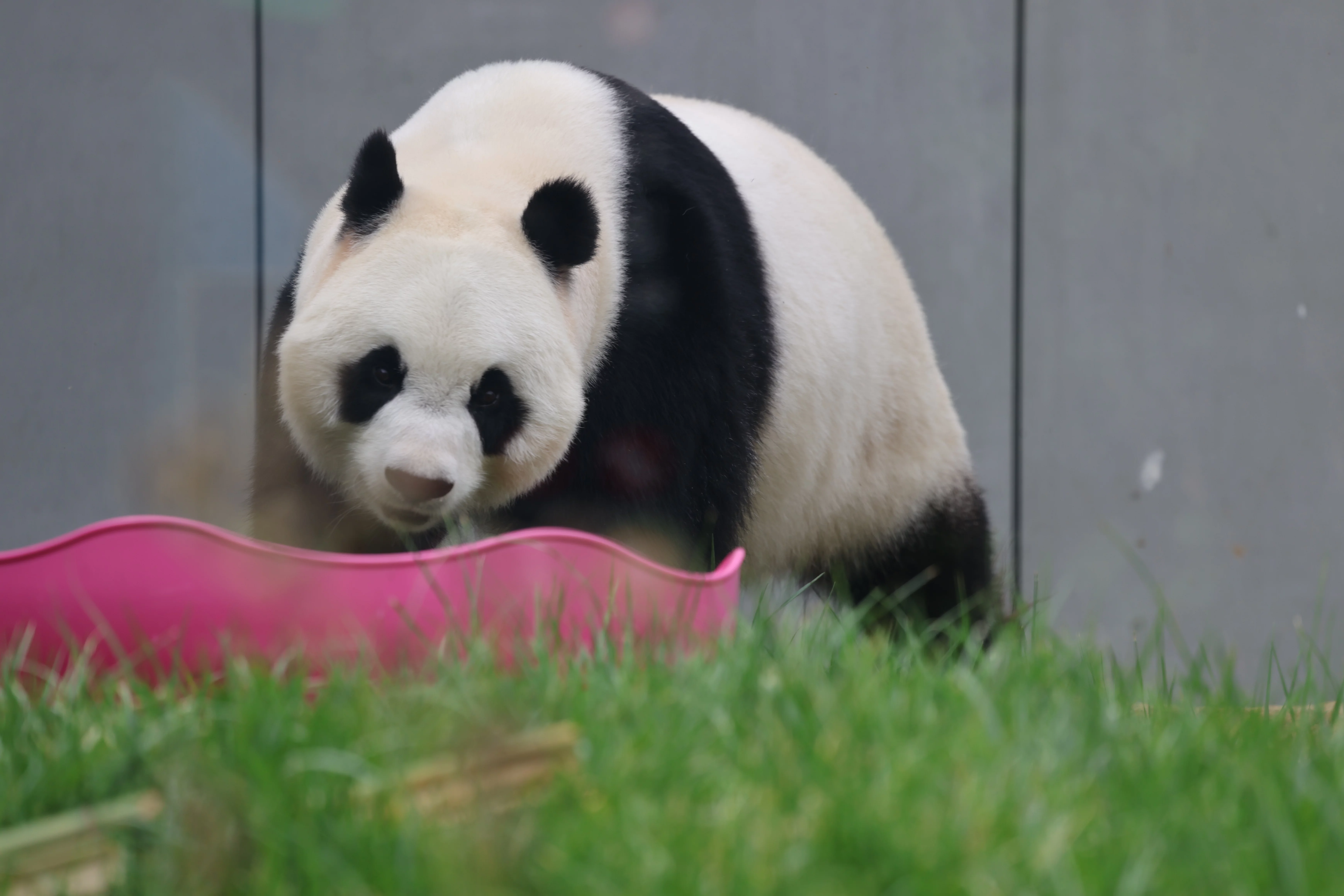Beijing Zoo