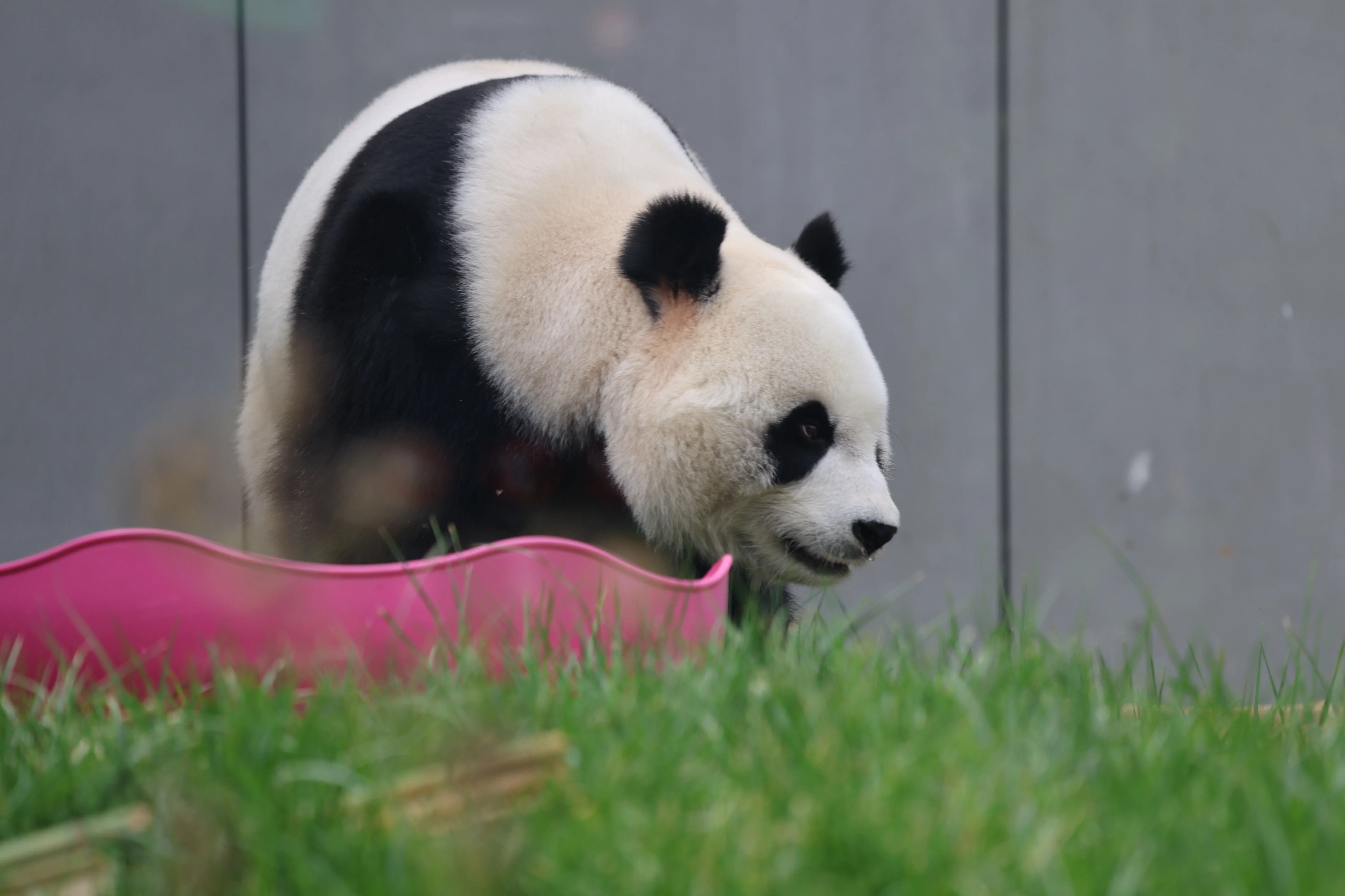 Beijing Zoo