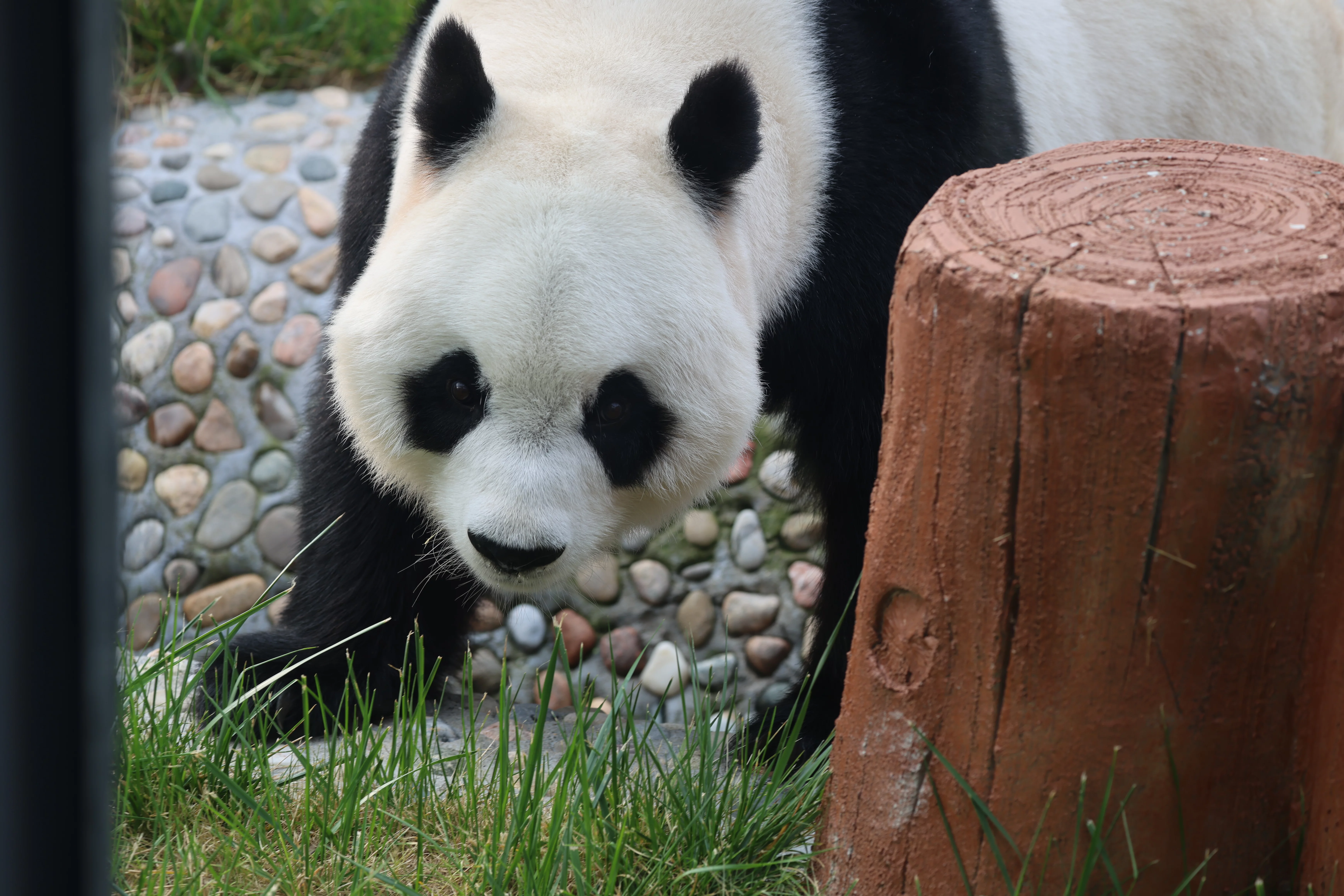 Beijing Zoo