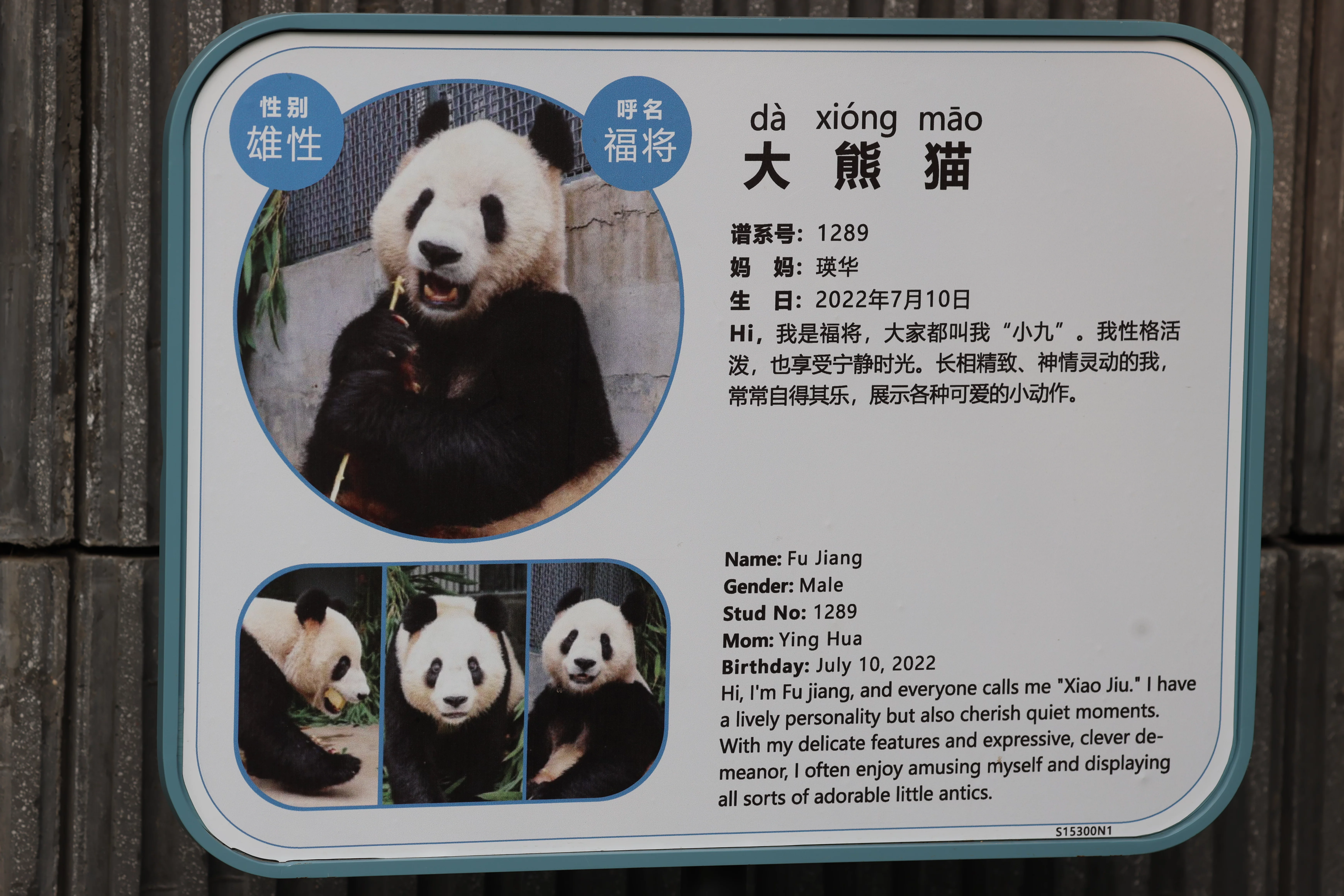 Beijing Zoo