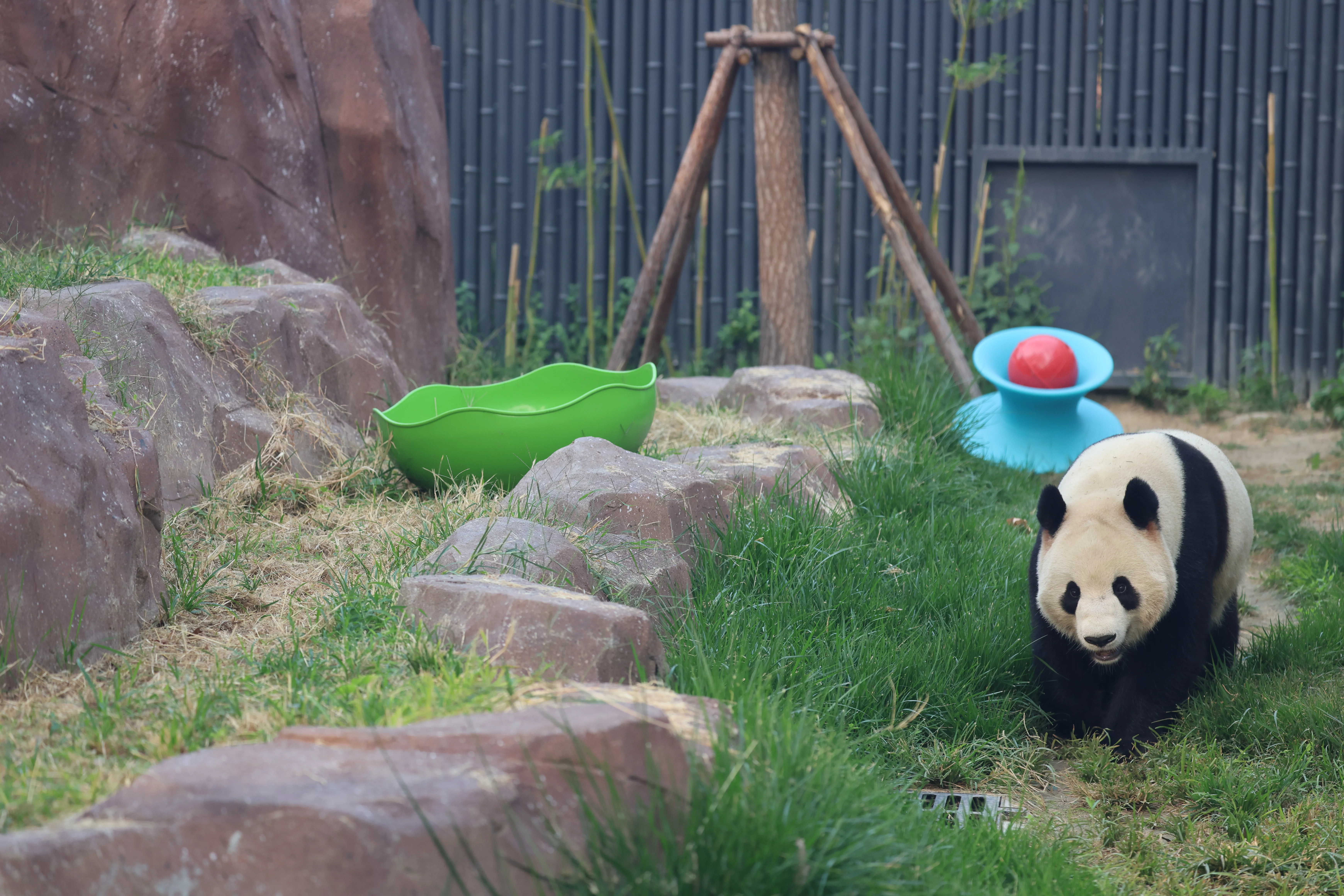 Beijing Zoo