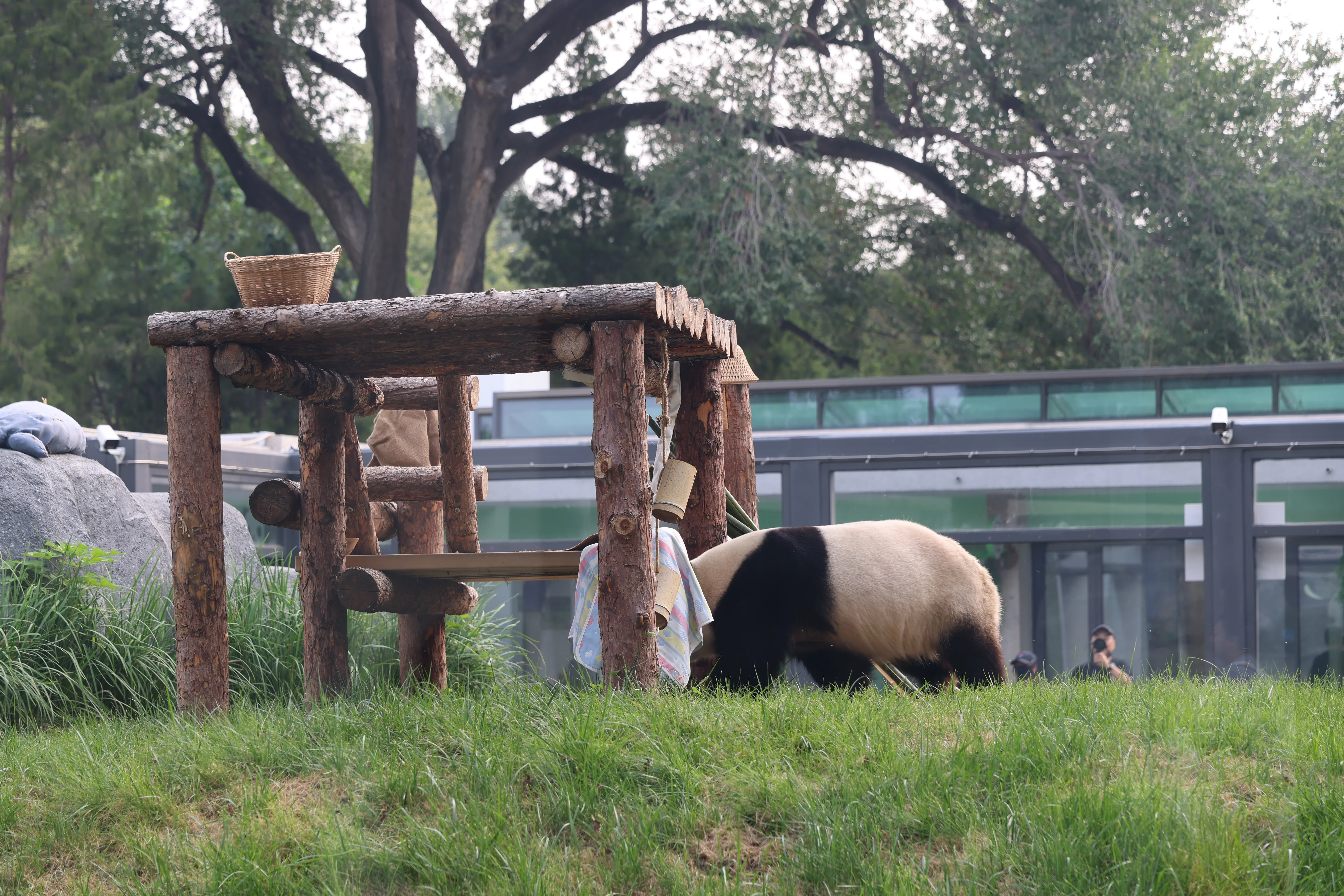 Beijing Zoo