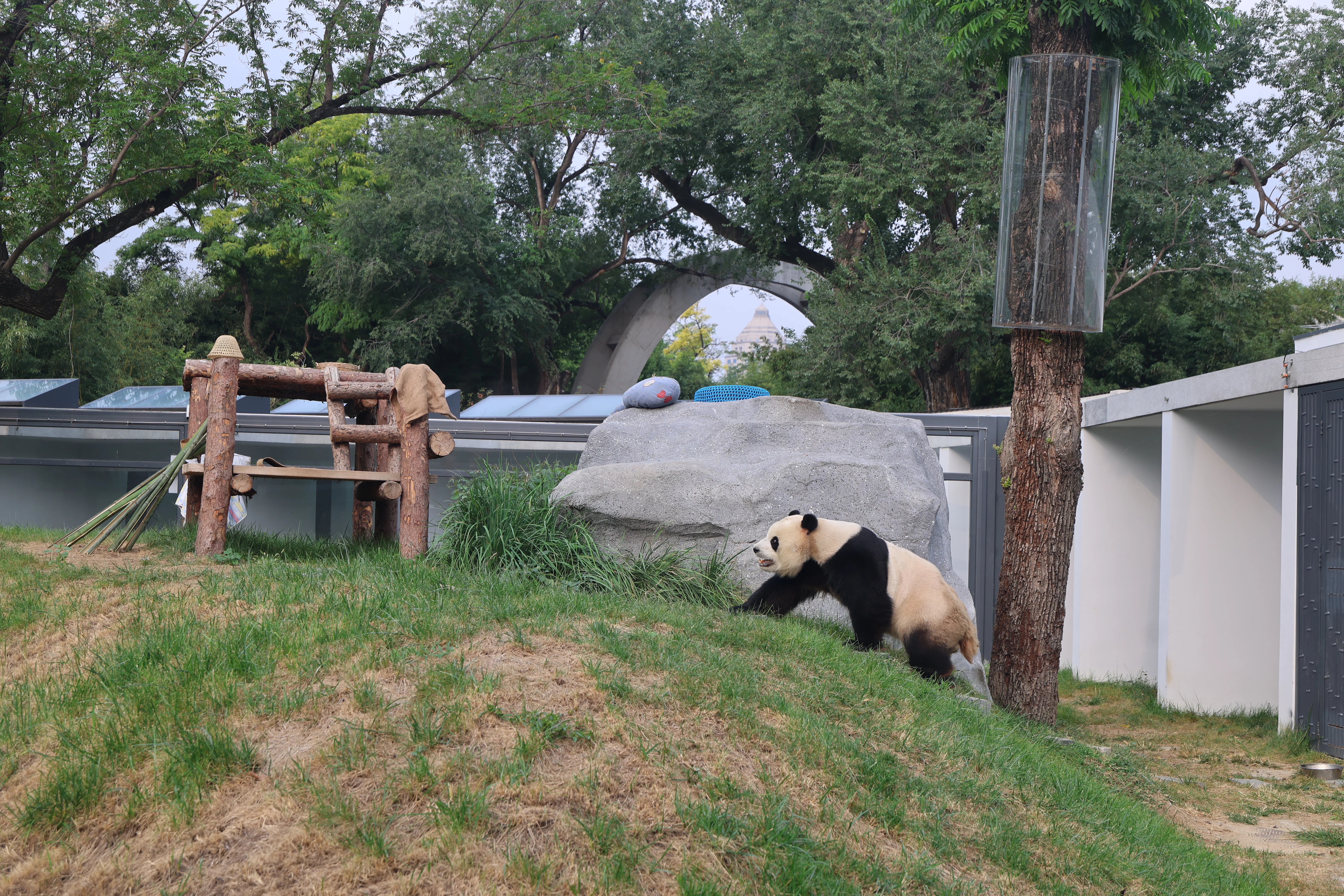 Beijing Zoo