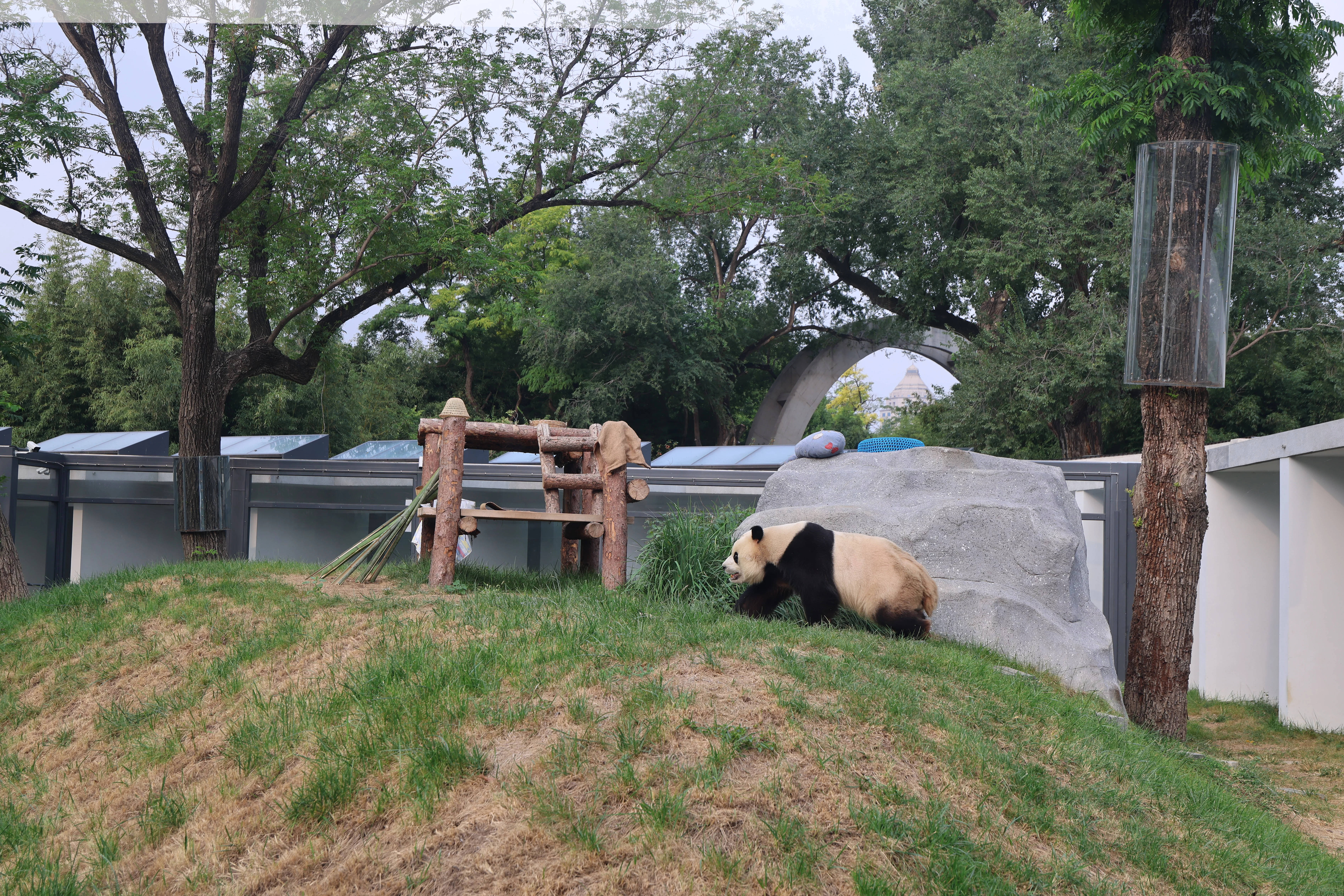 Beijing Zoo