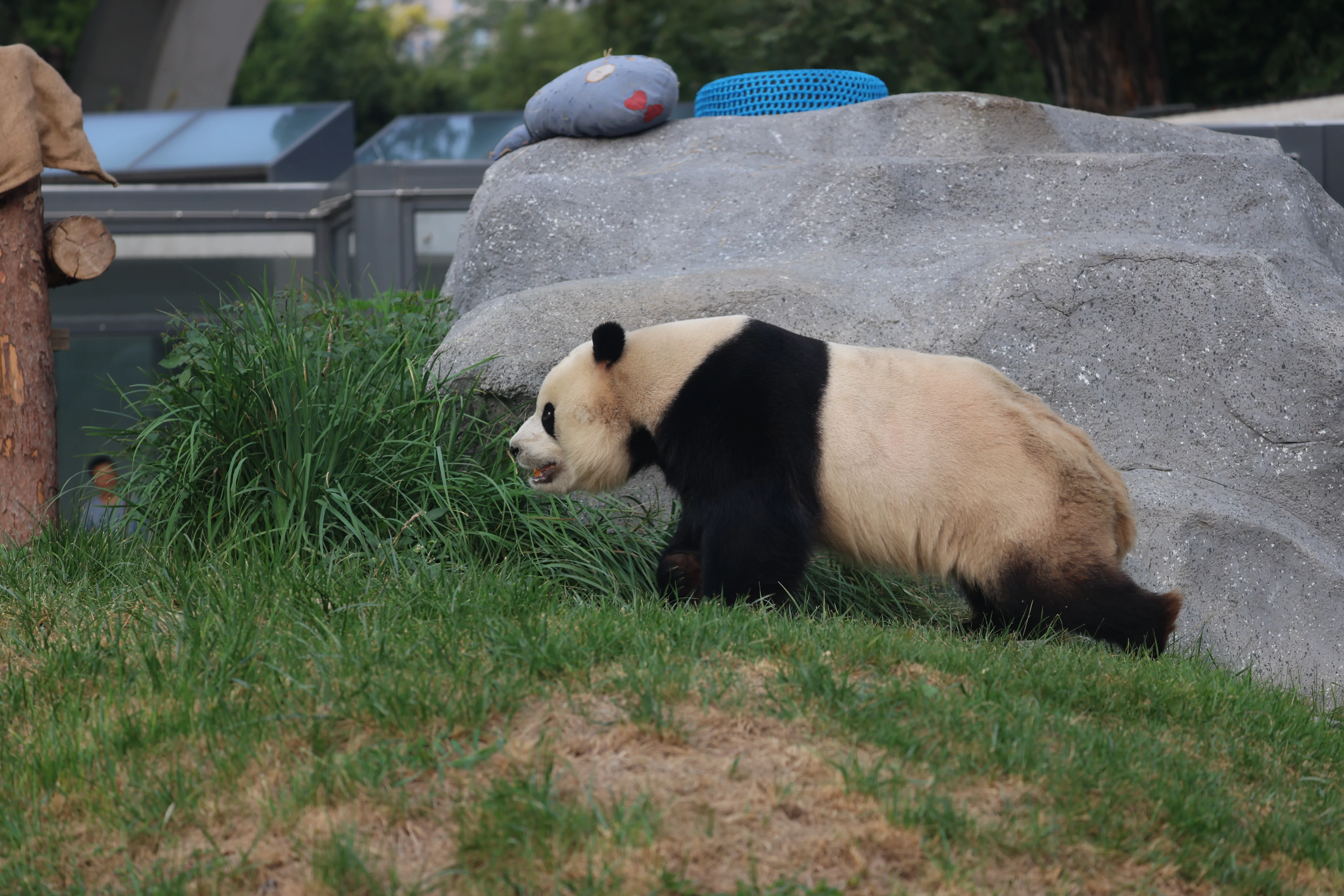 Beijing Zoo