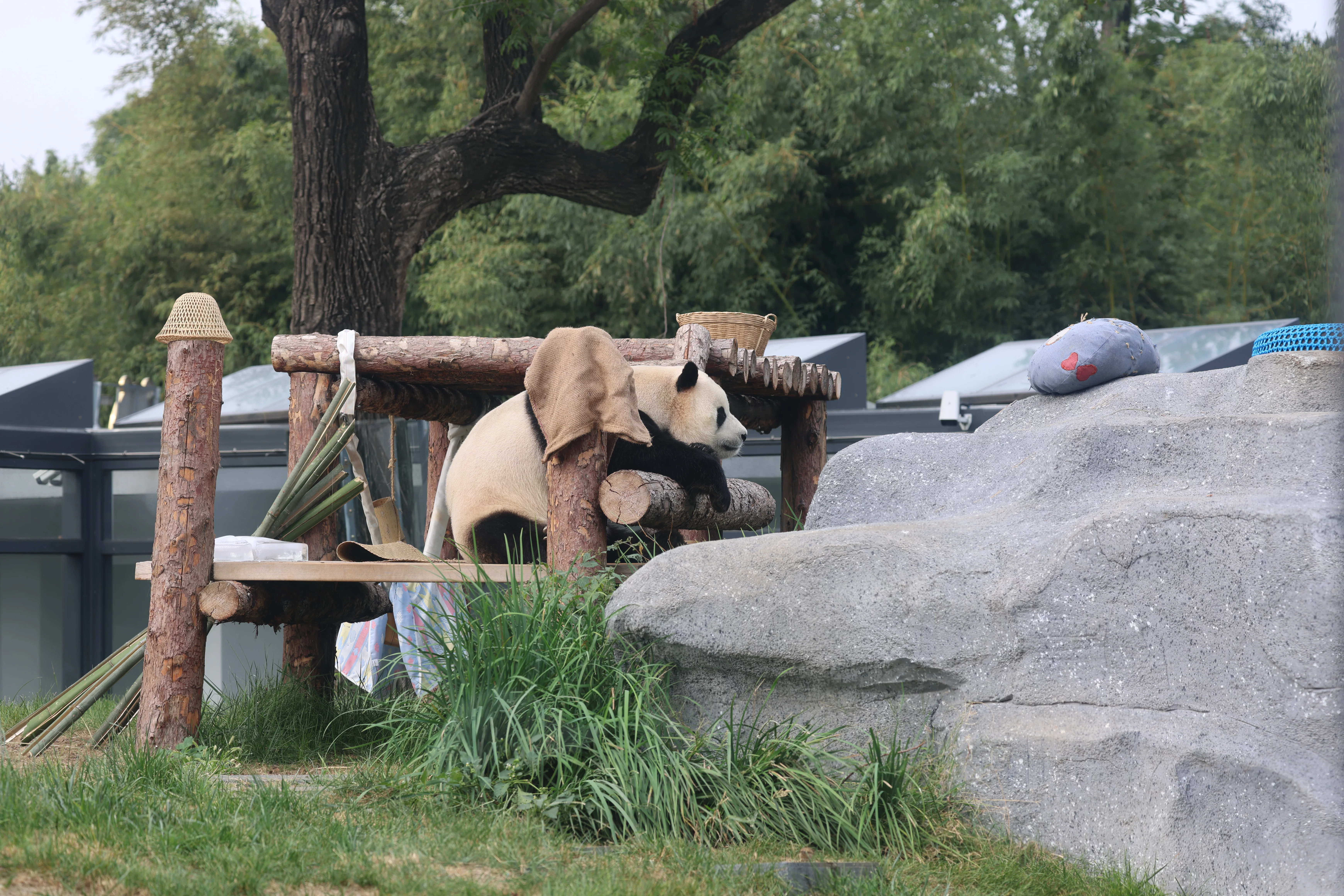Beijing Zoo