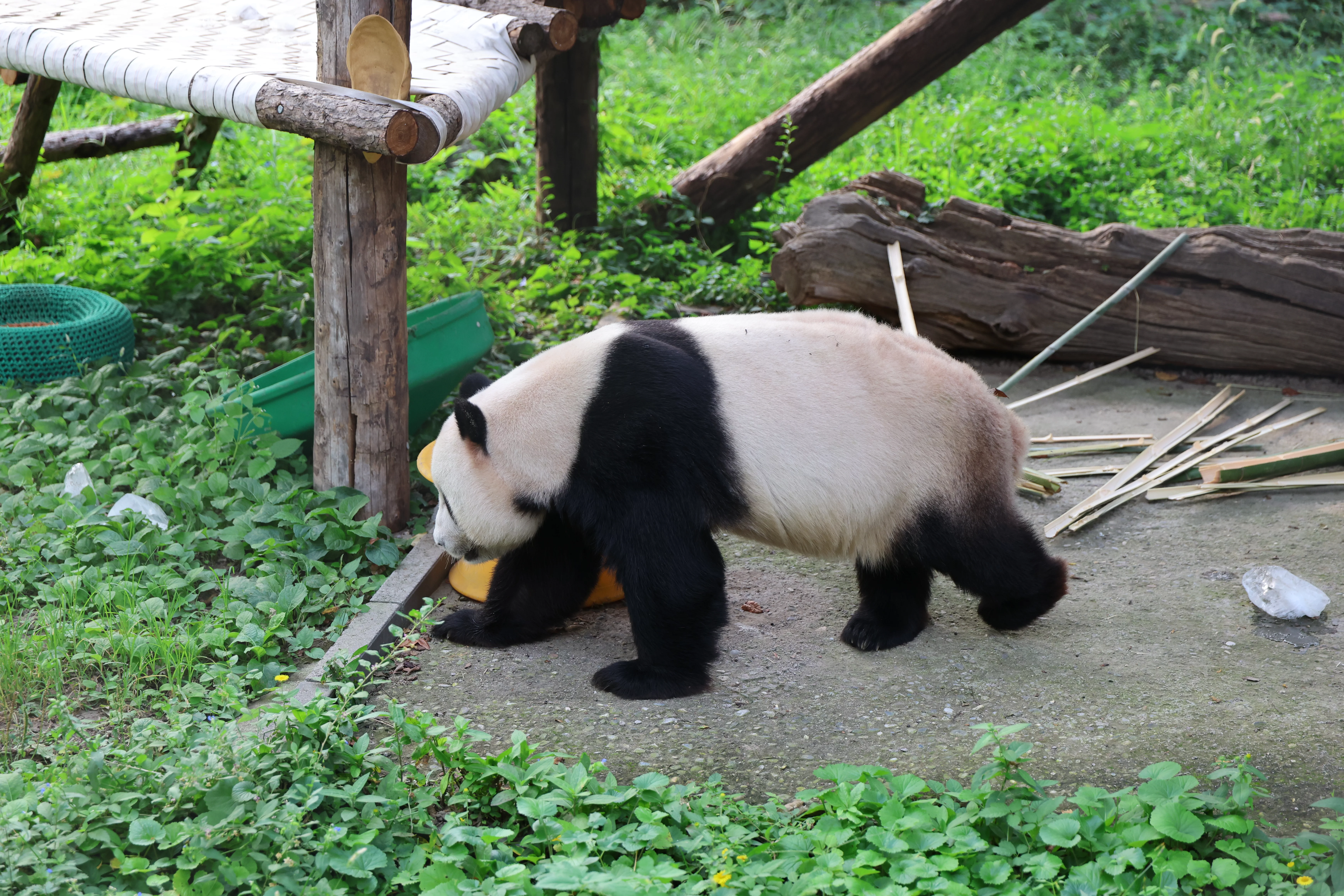 Beijing Zoo