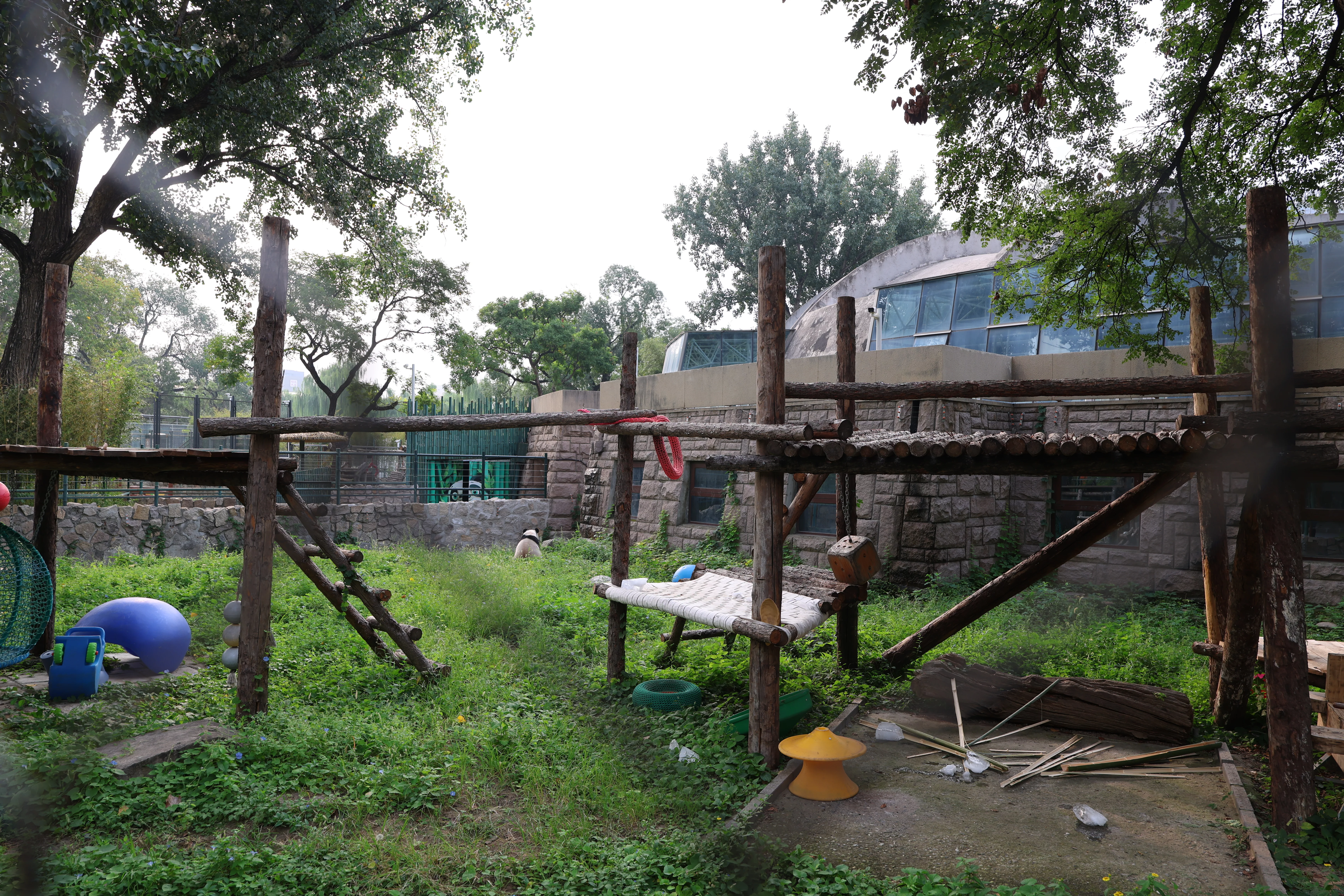 Beijing Zoo