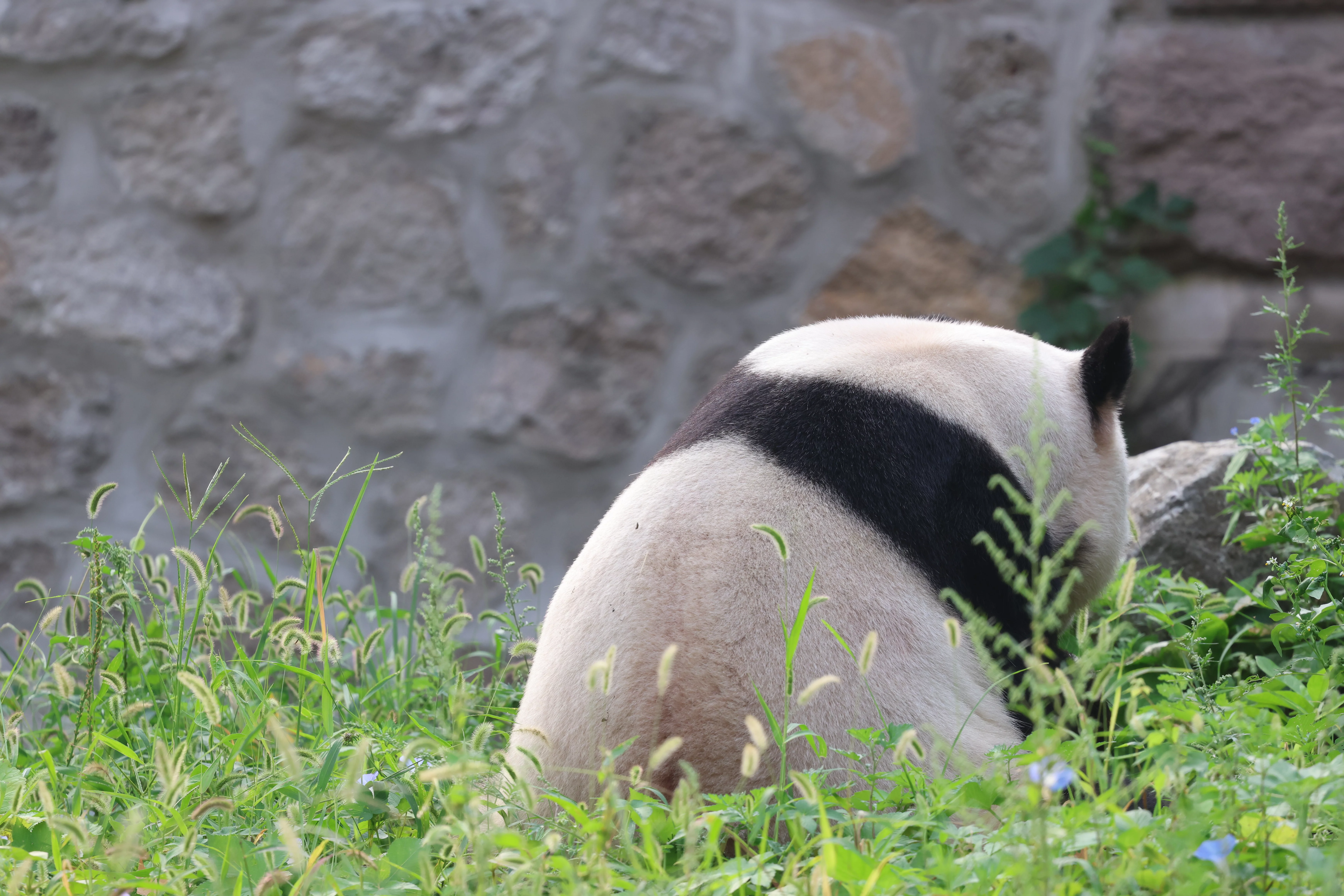 Beijing Zoo
