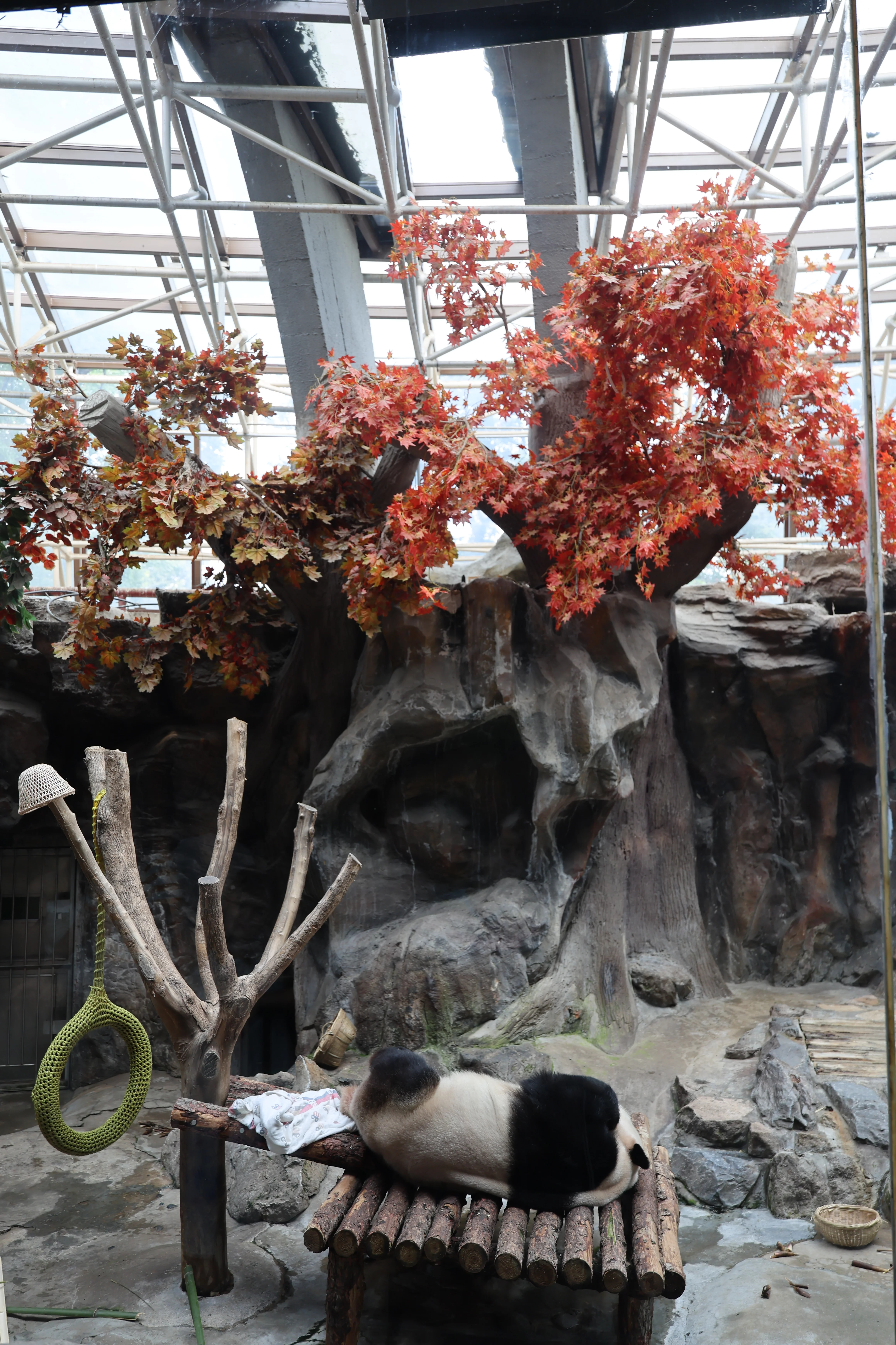 Beijing Zoo