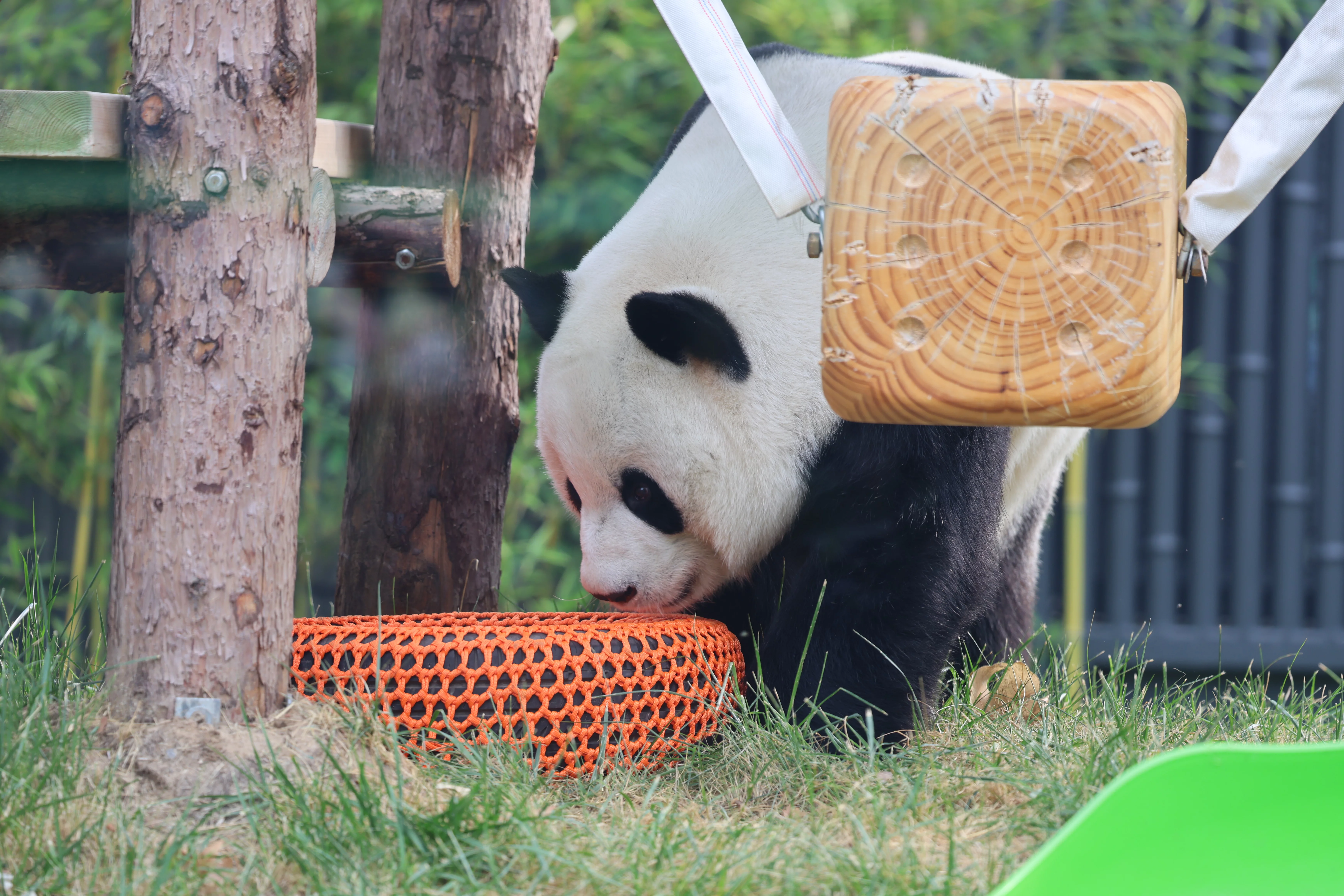 Beijing Zoo