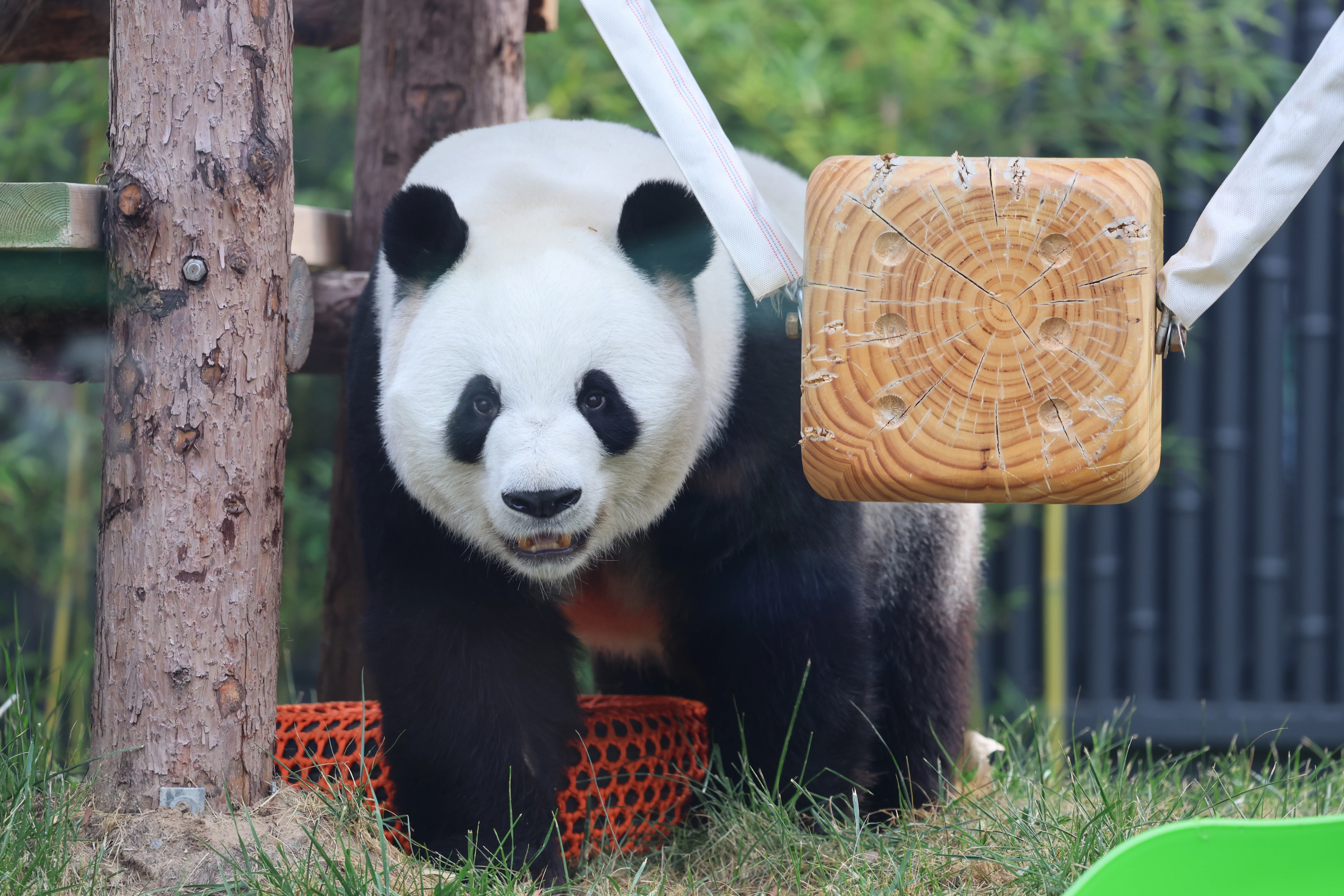 Beijing Zoo