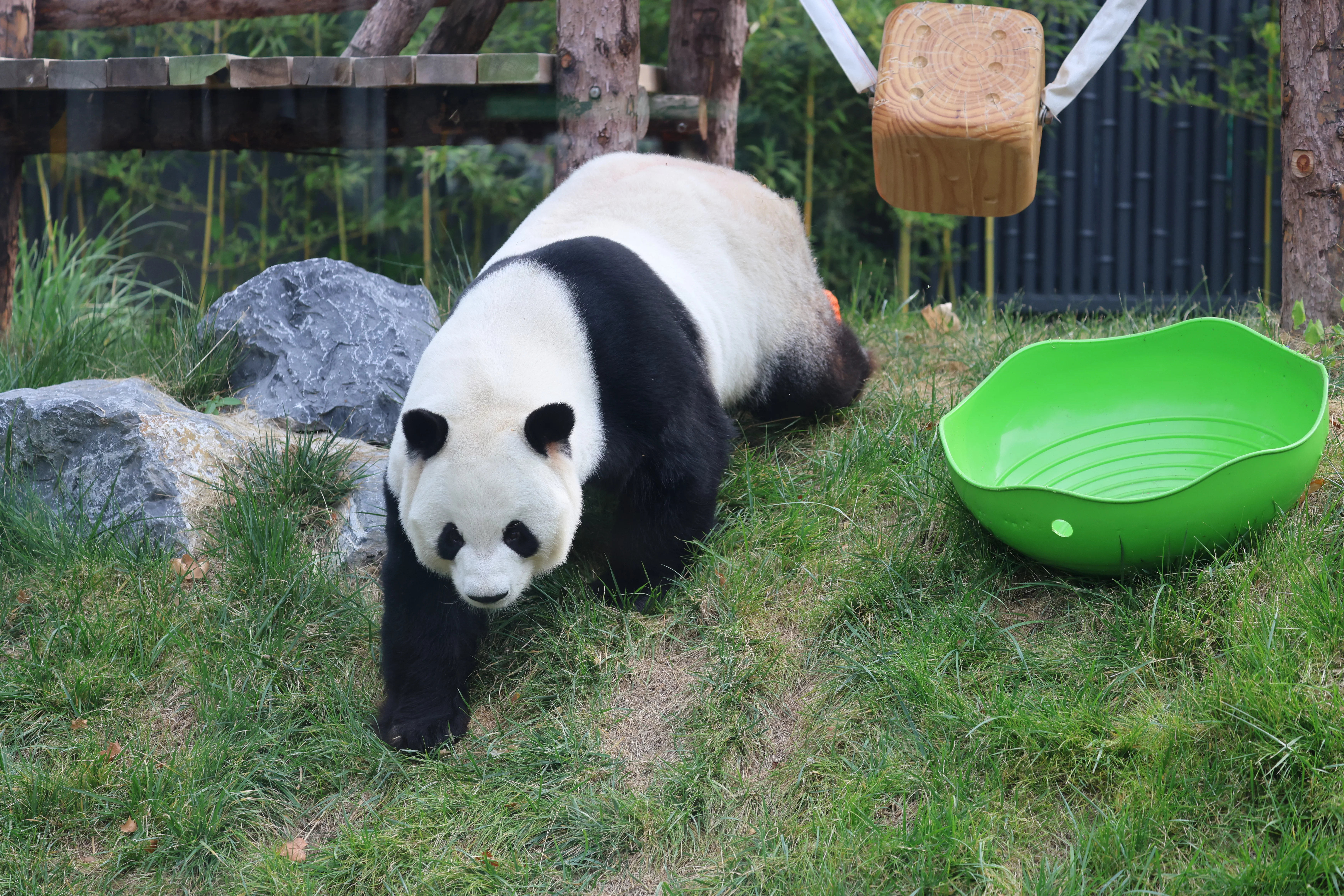 Beijing Zoo