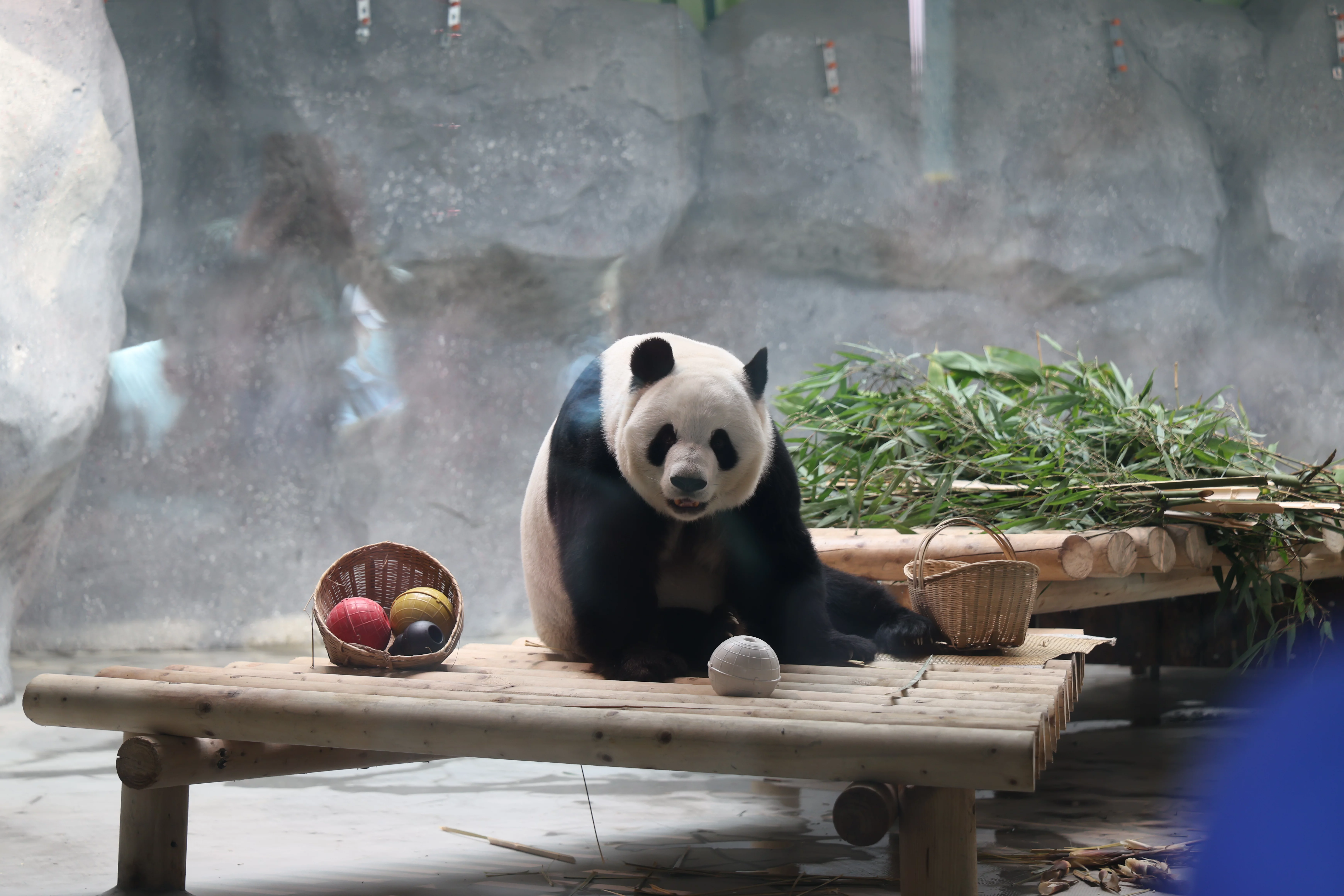 Beijing Zoo