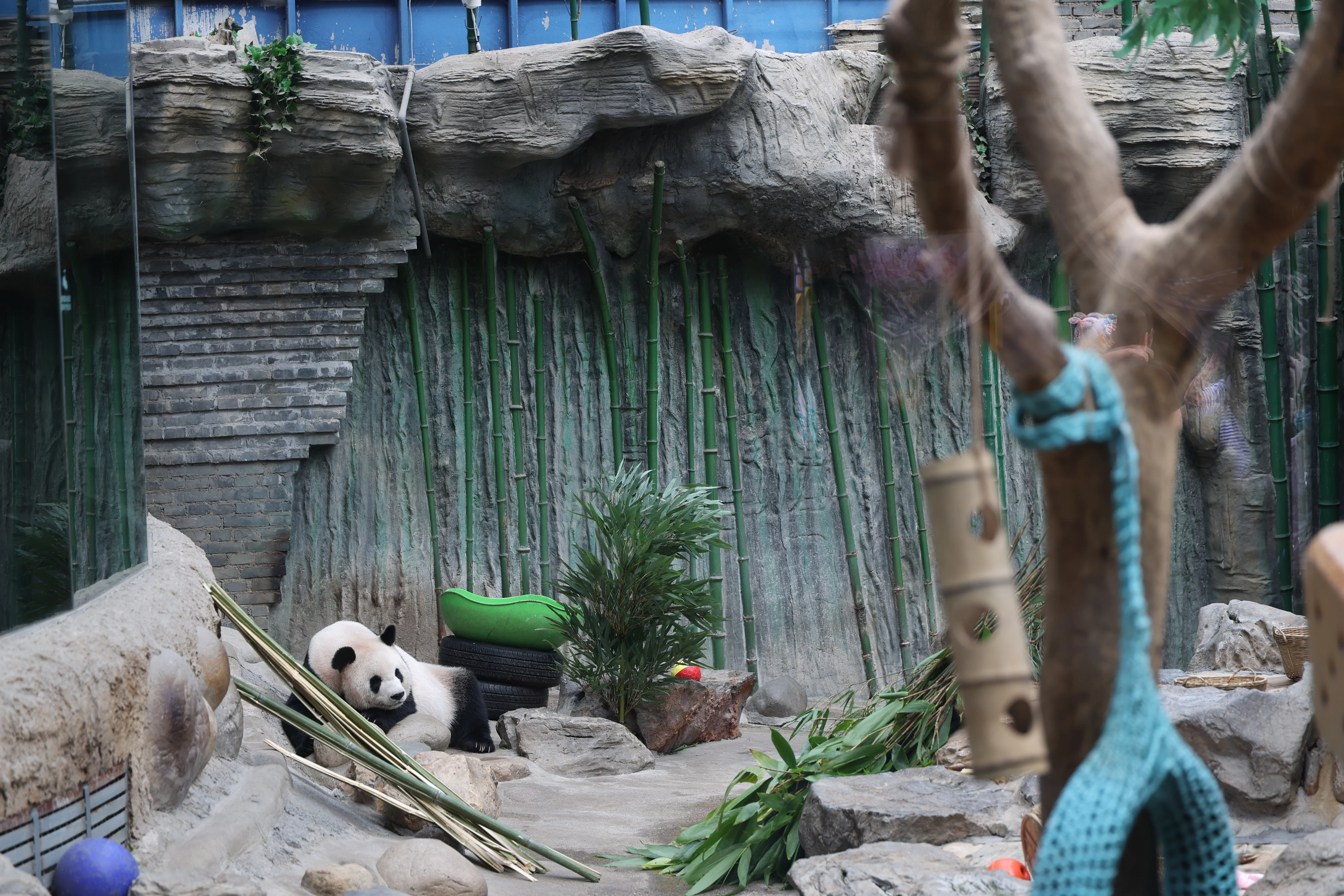 Beijing Zoo