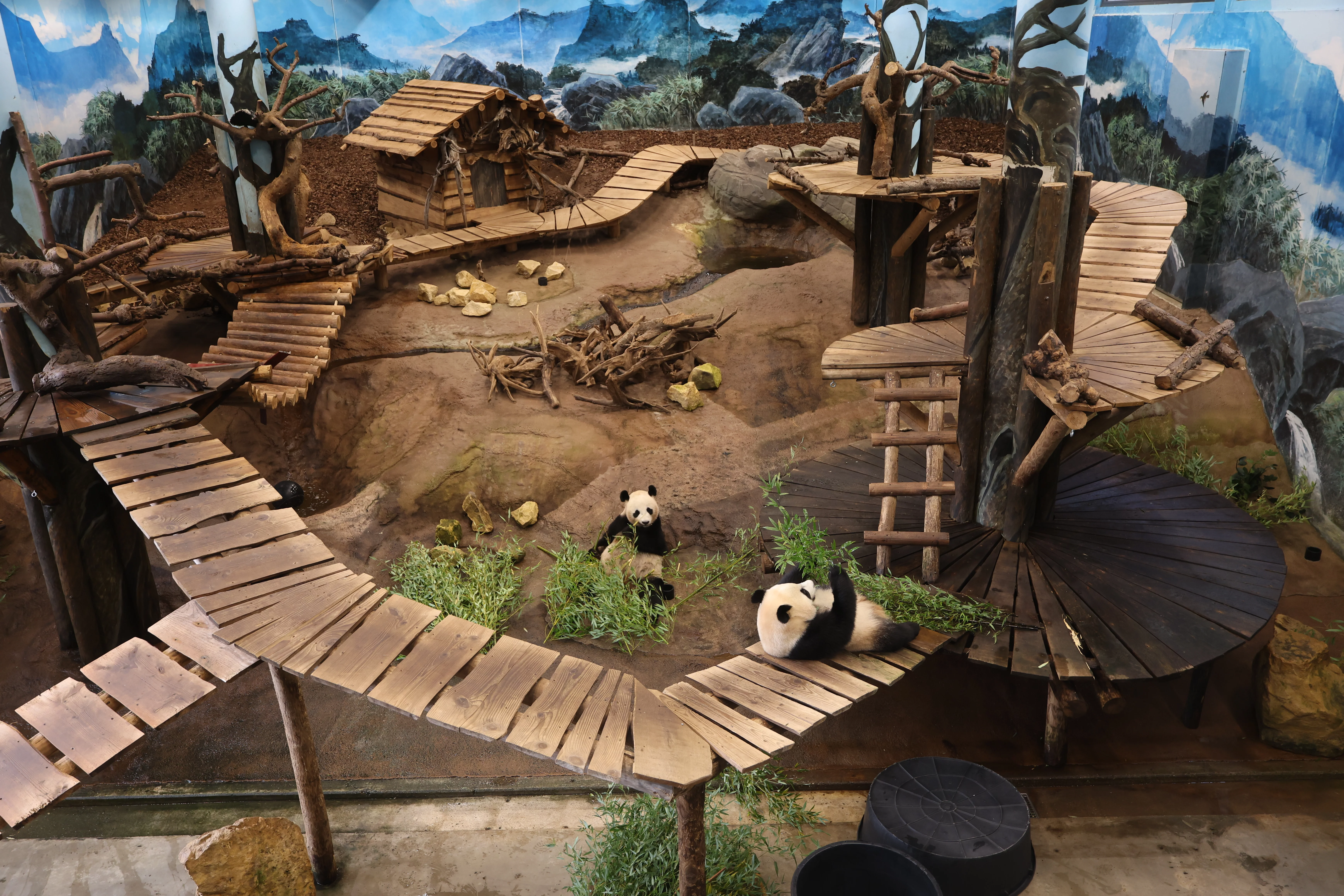Ouwehands Dierenpark Rhenen