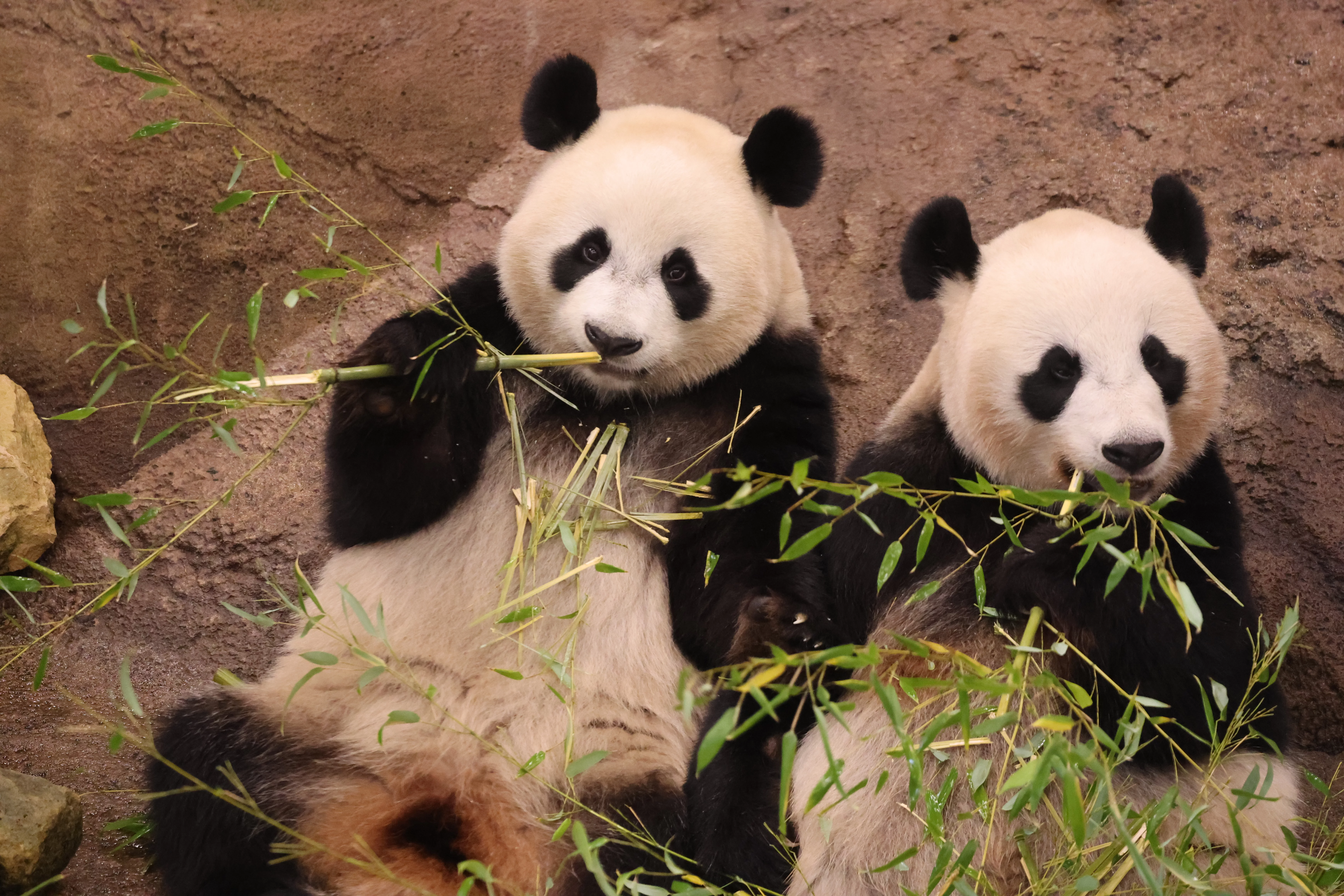 Ouwehands Dierenpark Rhenen