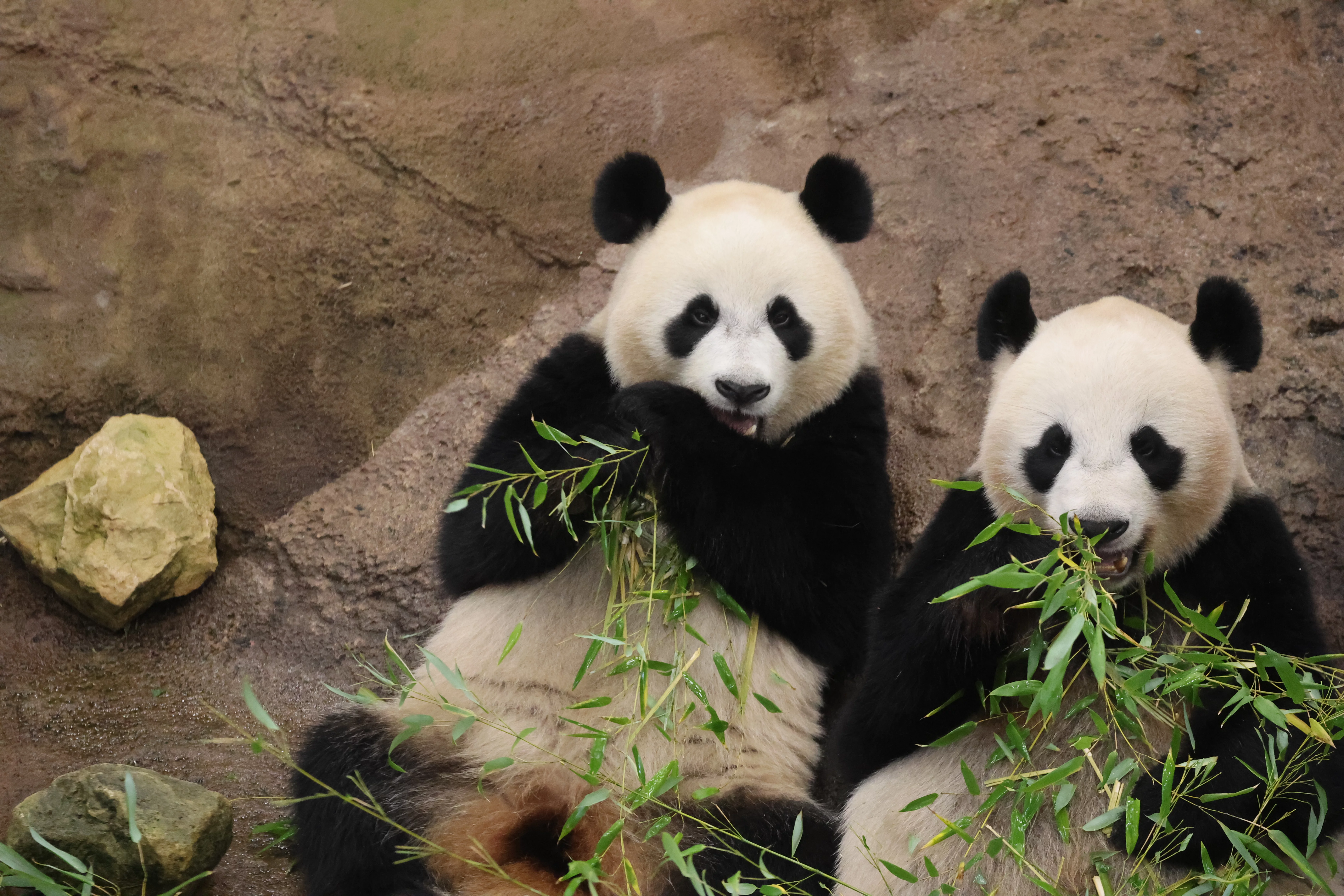 Ouwehands Dierenpark Rhenen