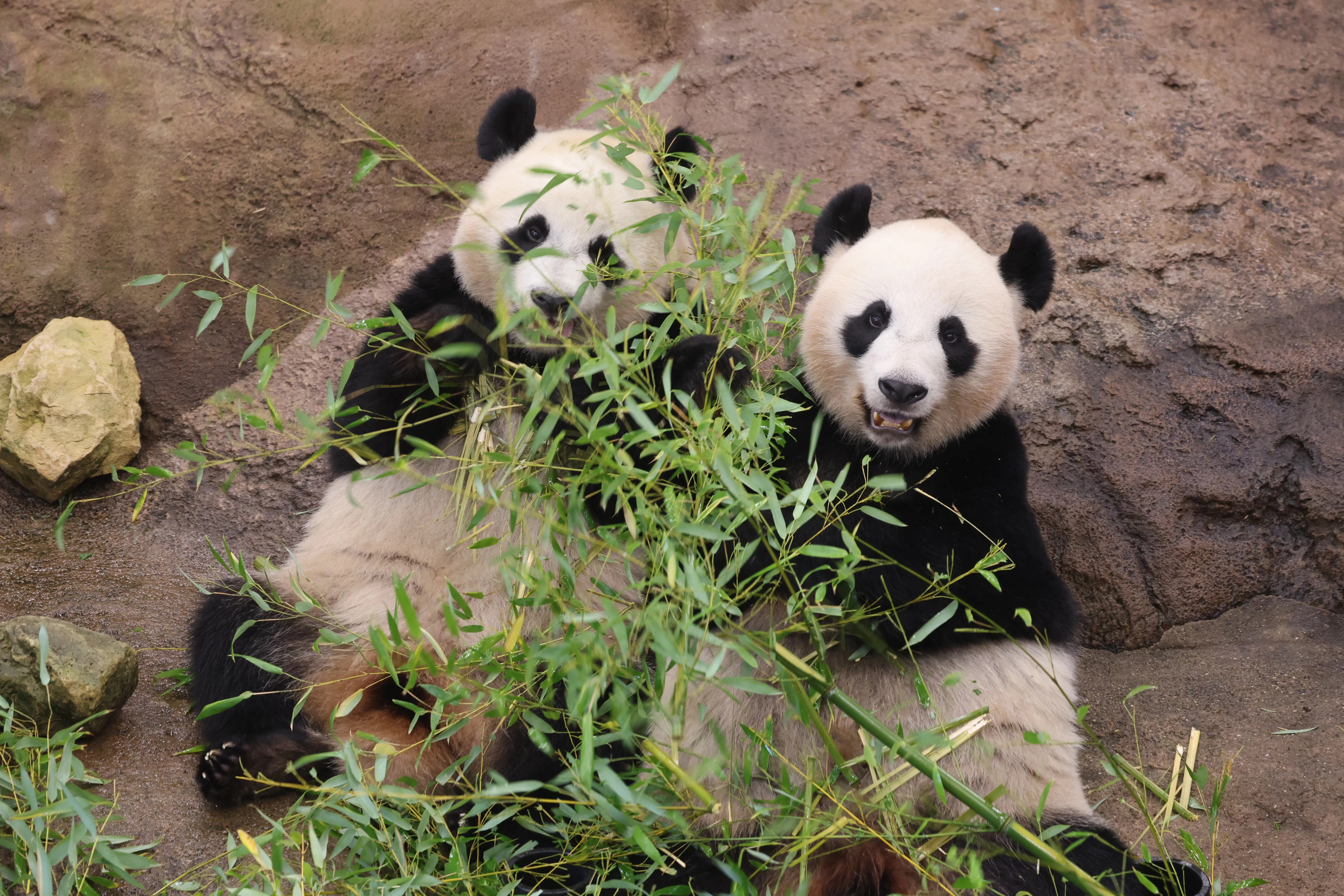 Ouwehands Dierenpark Rhenen