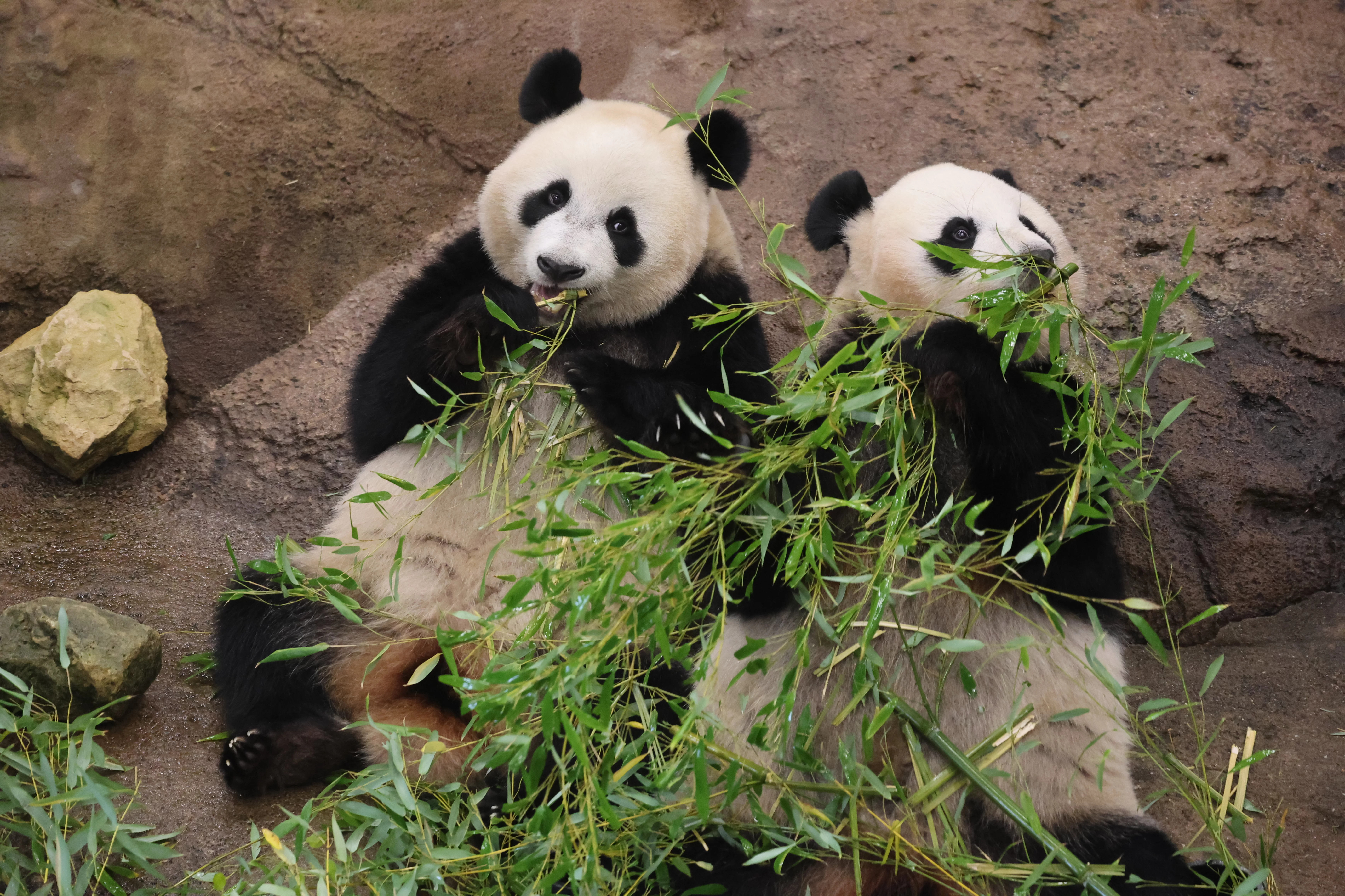 Ouwehands Dierenpark Rhenen