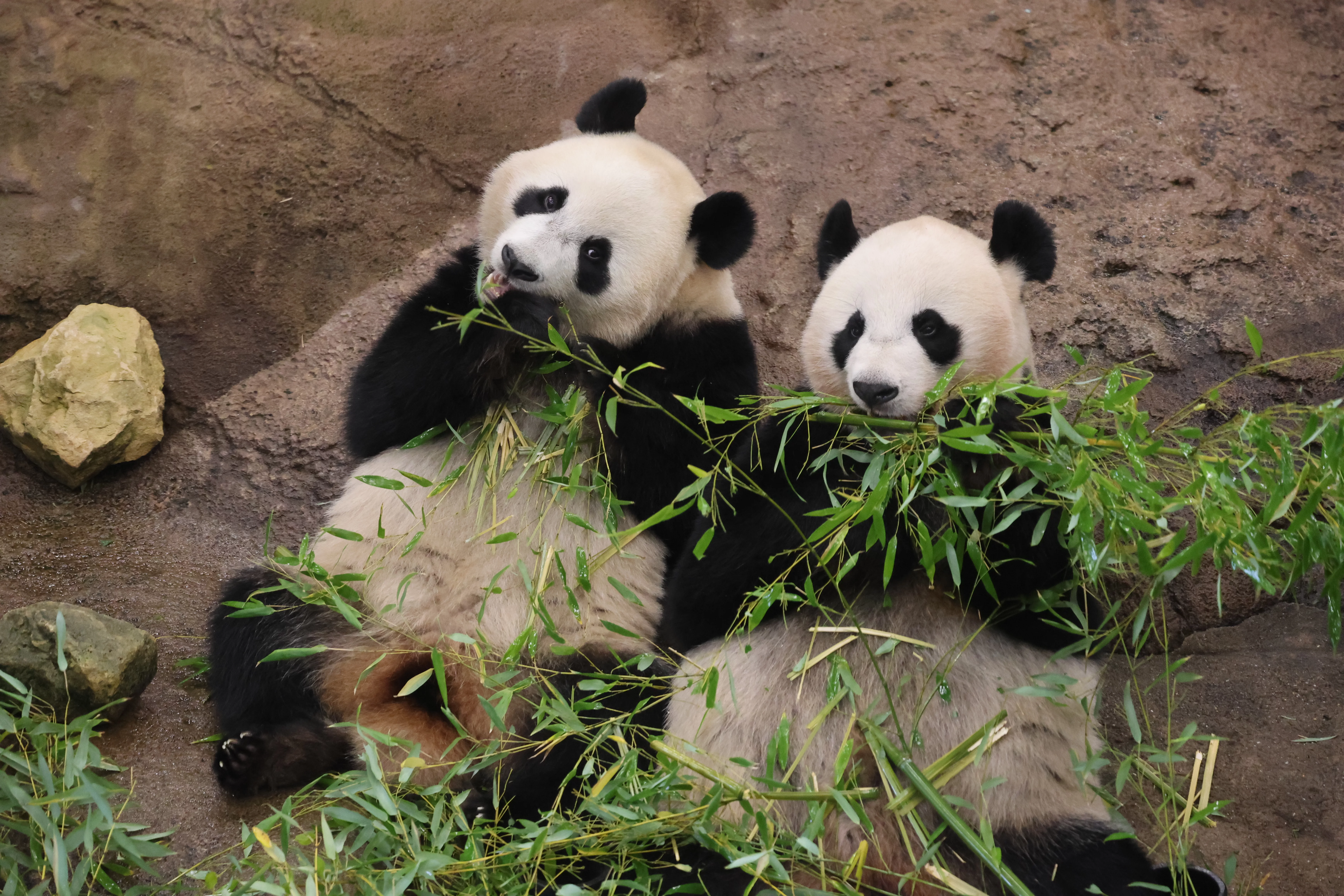 Ouwehands Dierenpark Rhenen