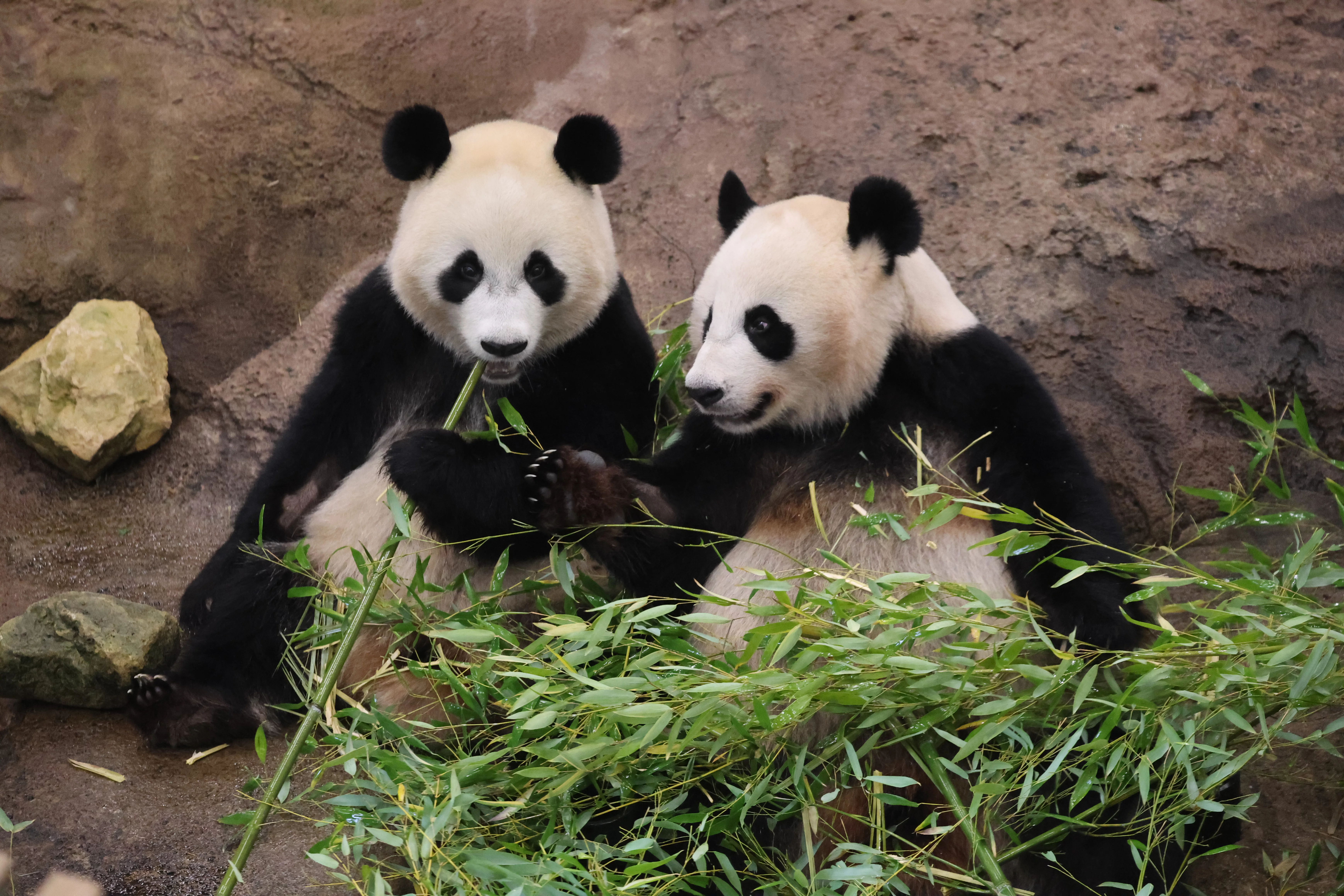 Ouwehands Dierenpark Rhenen