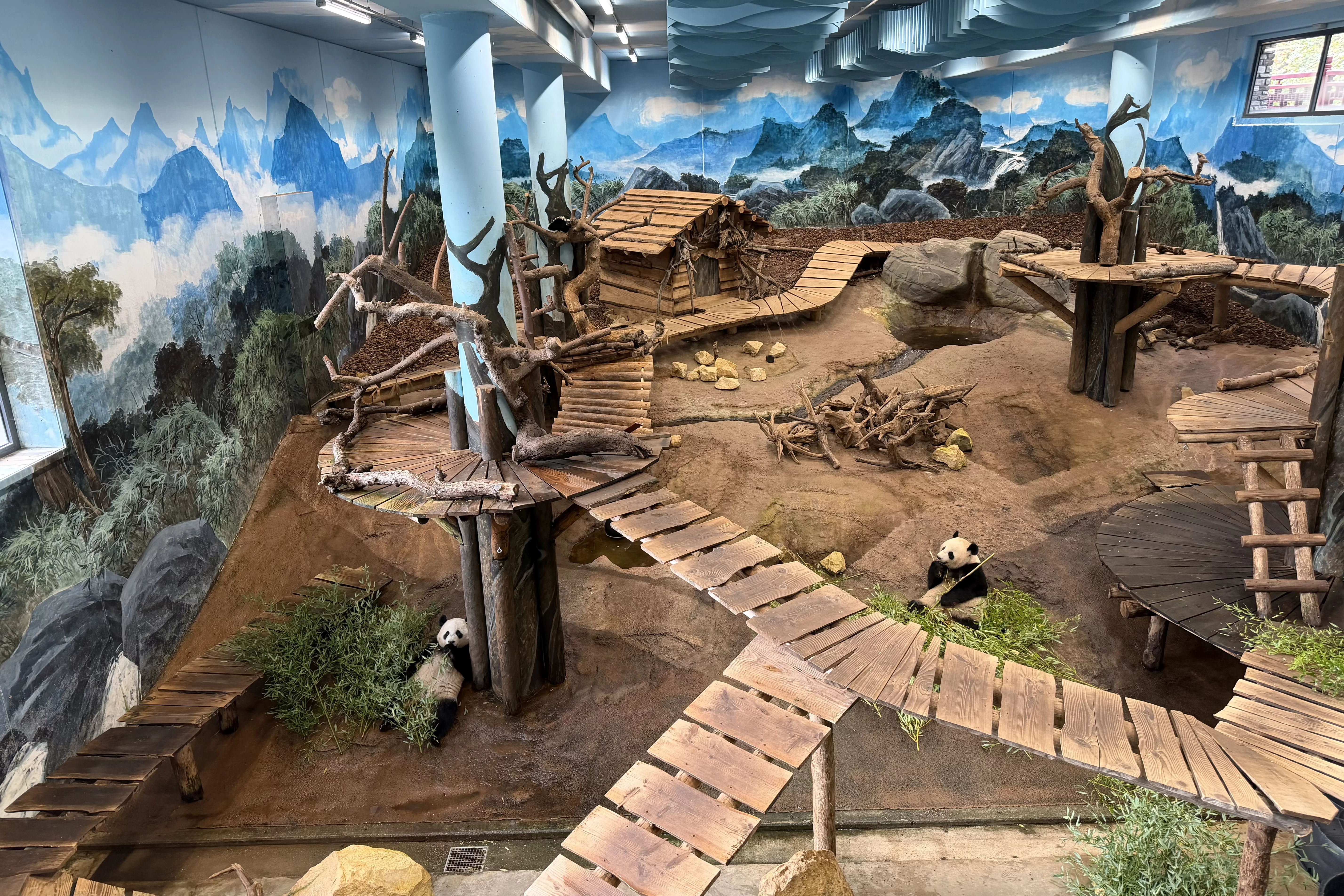 Ouwehands Dierenpark Rhenen