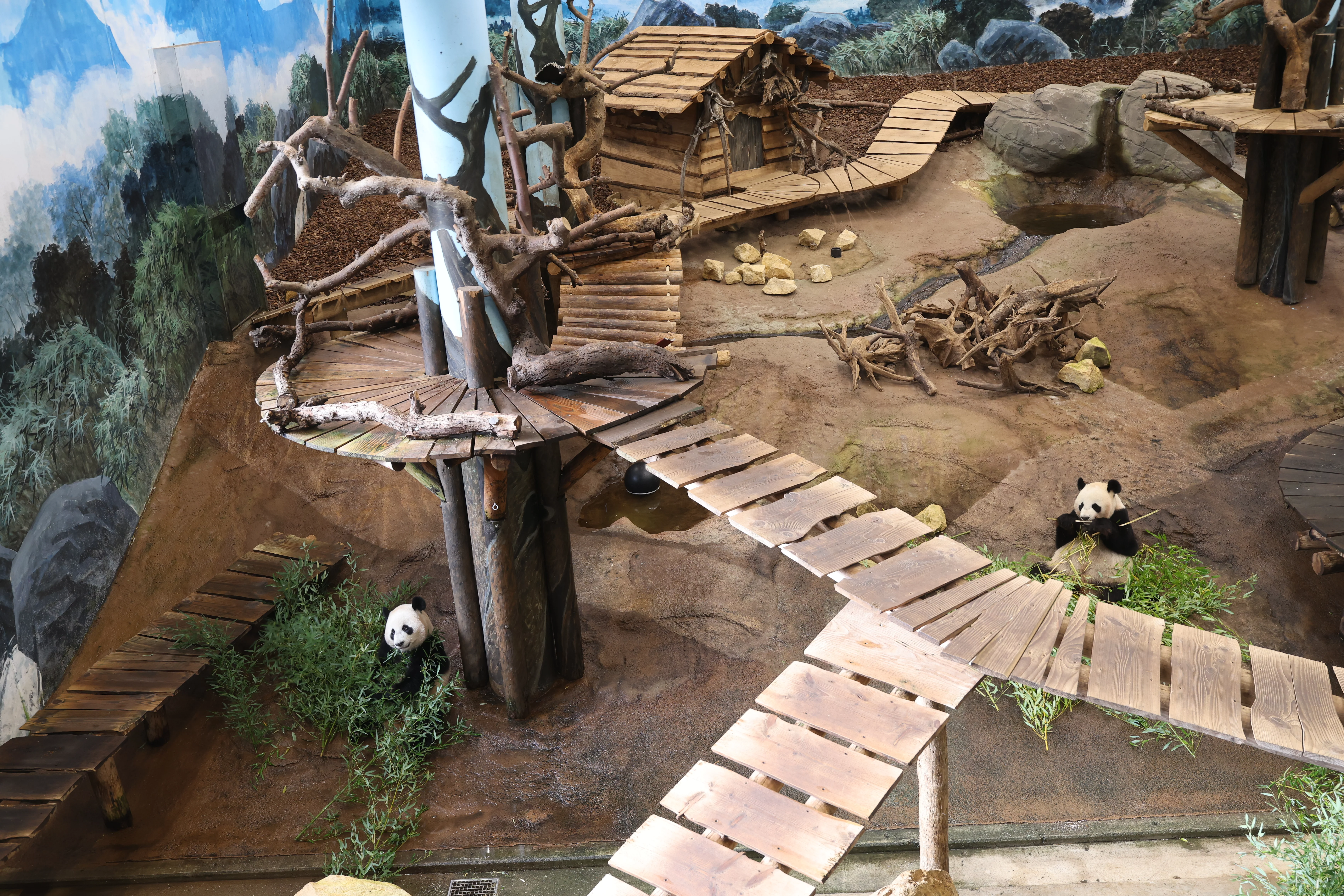 Ouwehands Dierenpark Rhenen