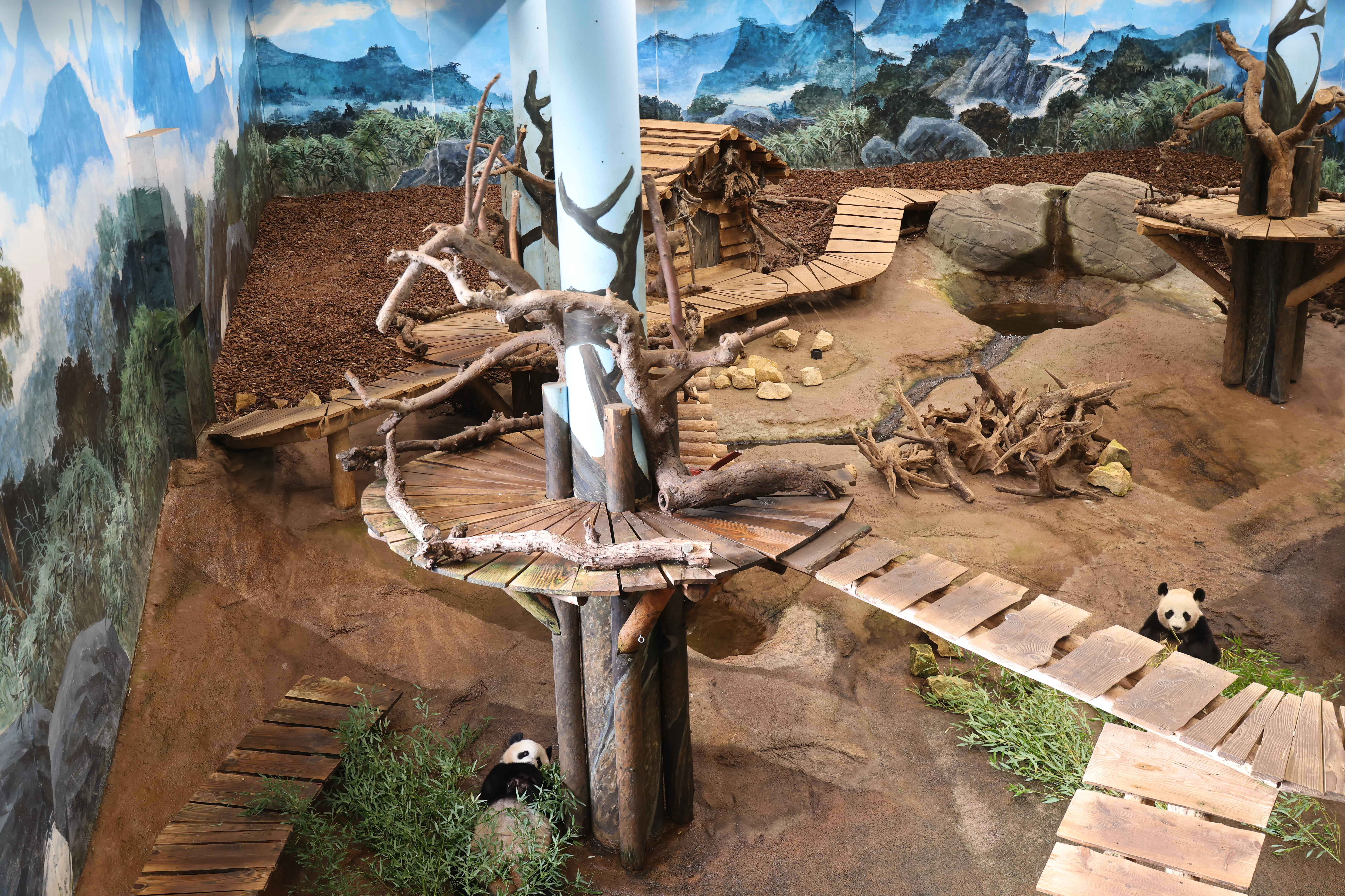 Ouwehands Dierenpark Rhenen