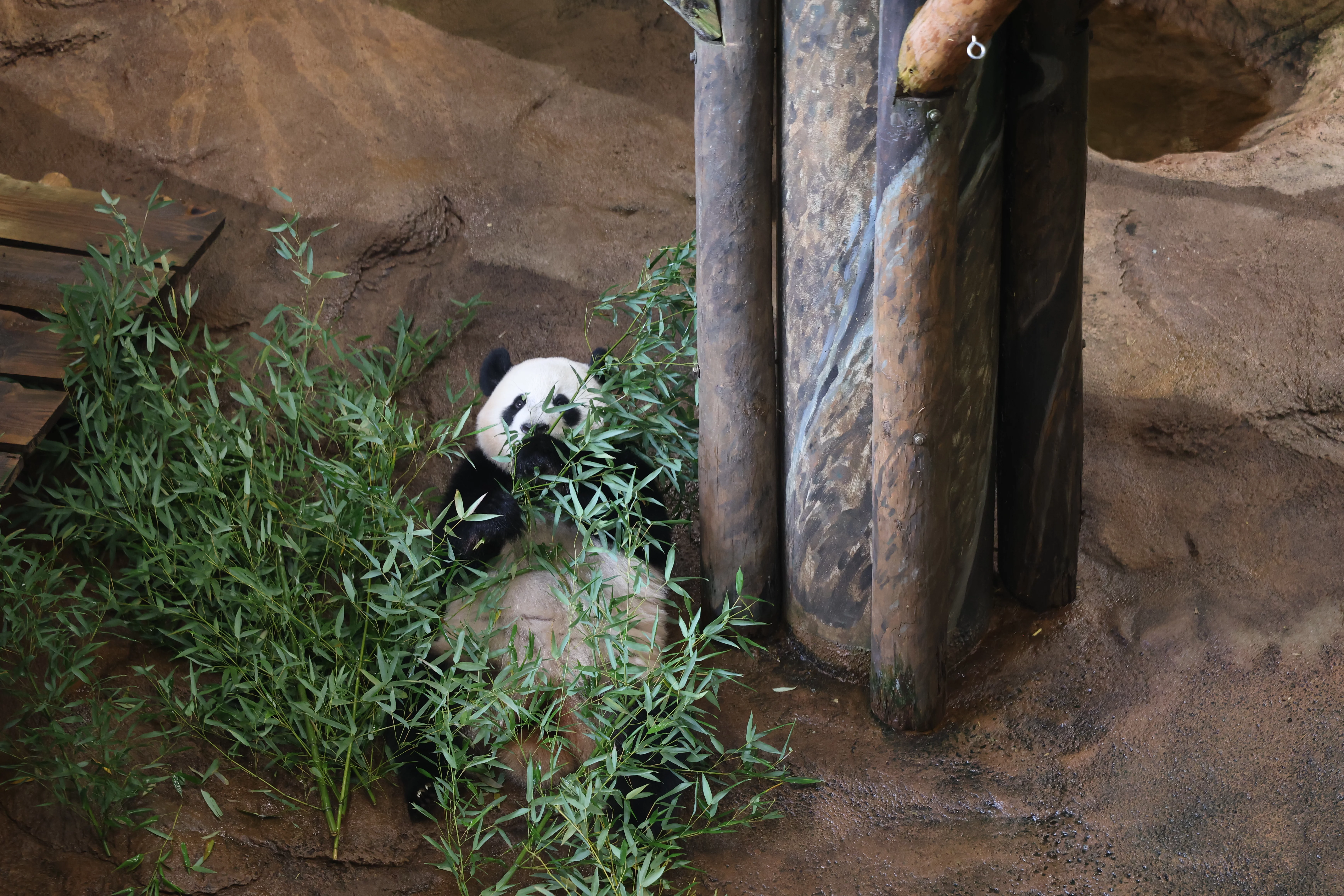 Ouwehands Dierenpark Rhenen
