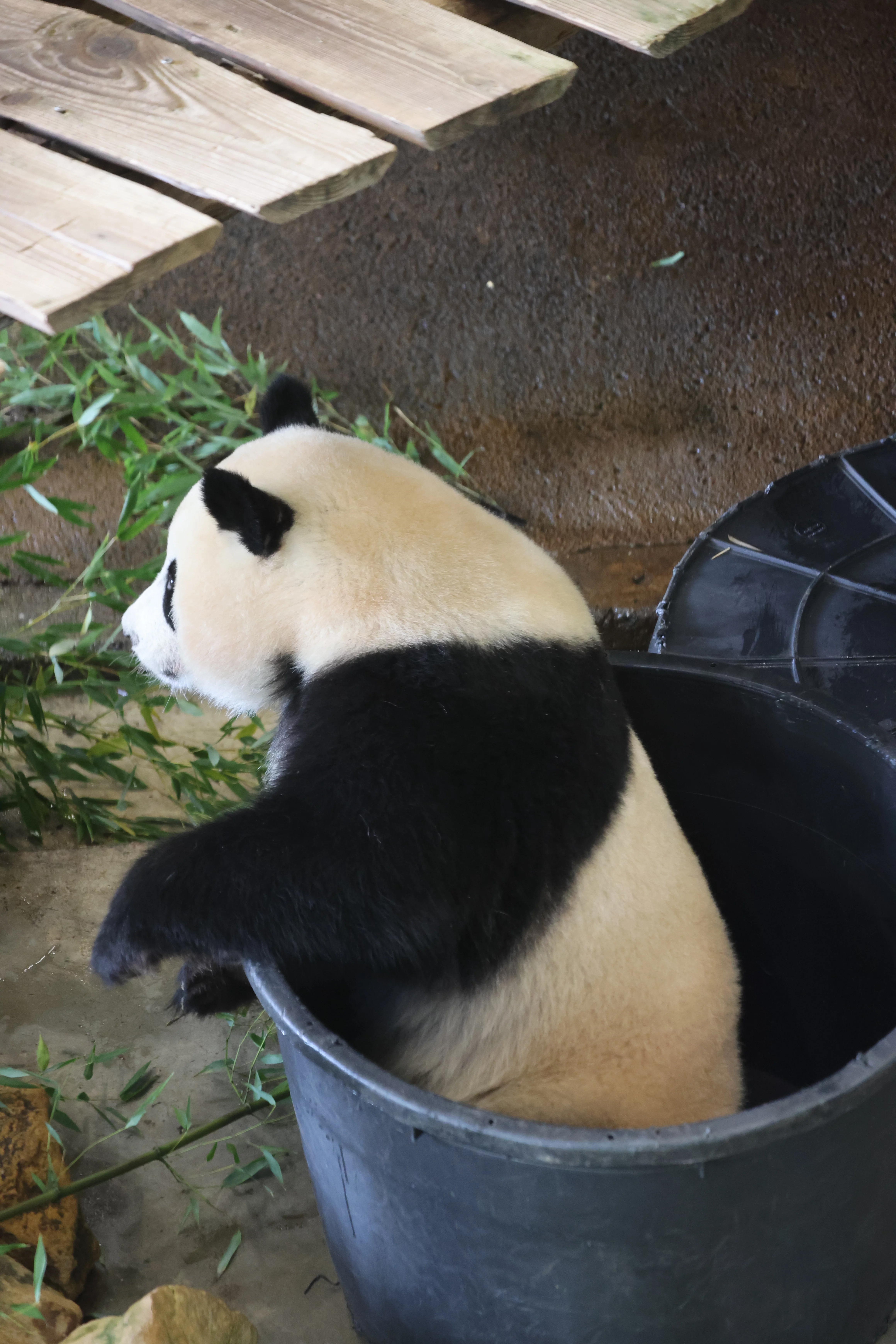 Ouwehands Dierenpark Rhenen
